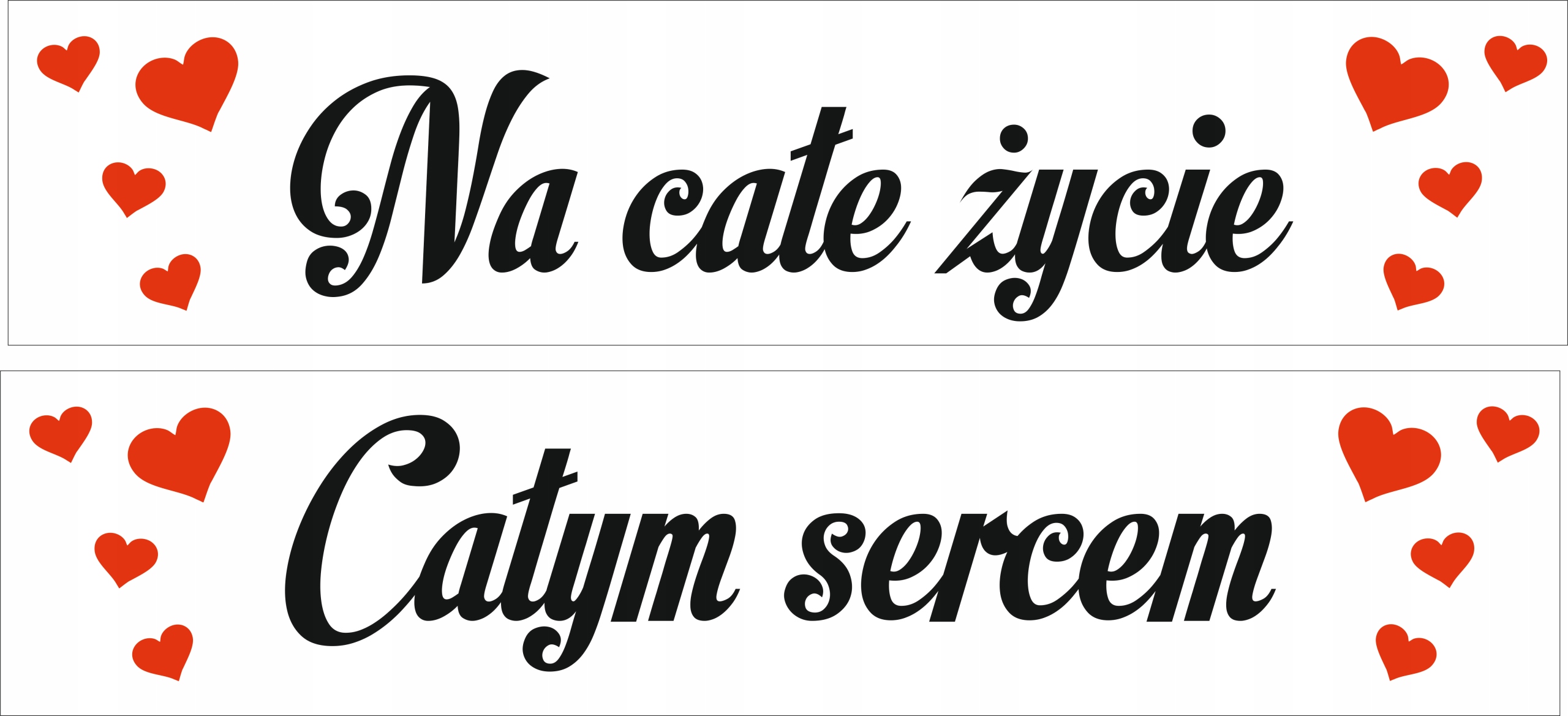 

Tablice auta Całym sercem Na całe życie 2 szt Pcv