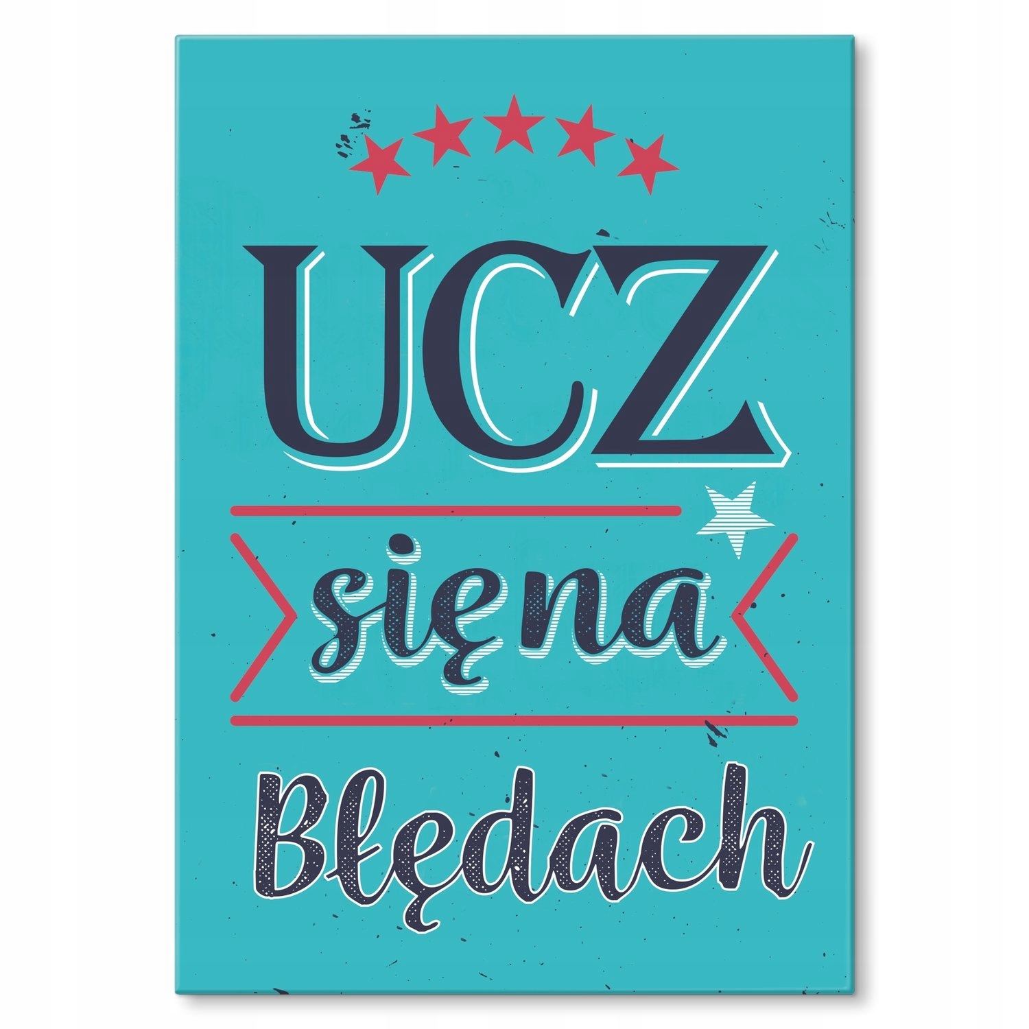 Kovový plakát Poučte se z chyb Dárek 42 x 59 cm