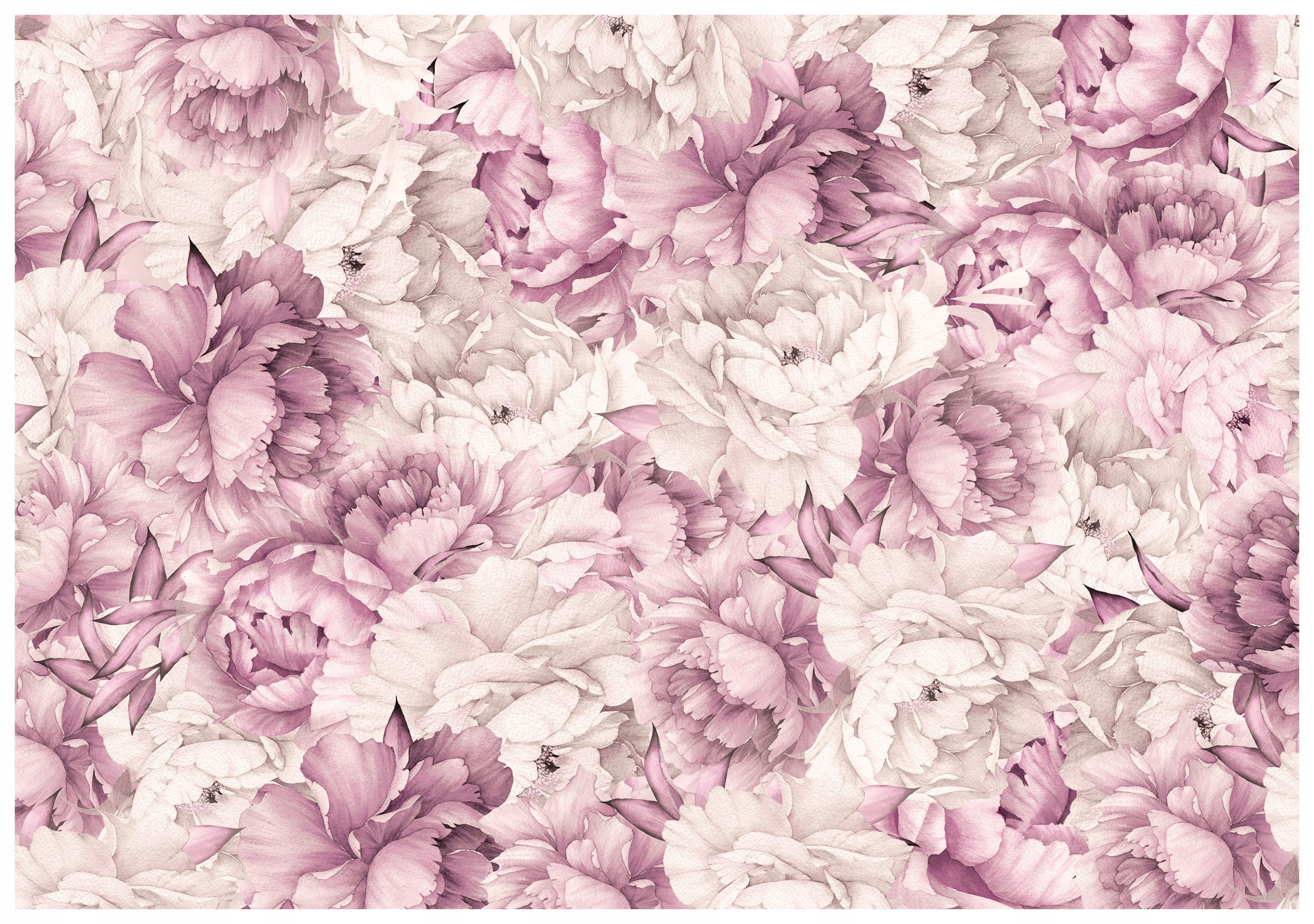 Tapeta Pivonky ružové biele vinylová 254x184 jemný kvetinový dekor lepidlo