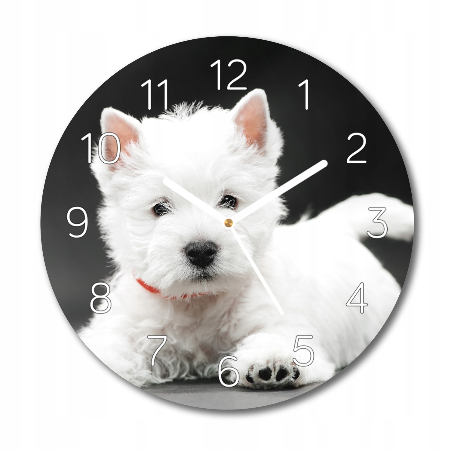 

West terrier do salonu foto-zegar fi 30 ścienny