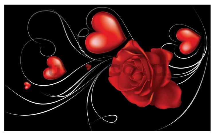 Fototapeta Růže Srdce Na Černém Pozadí Květiny Ložnice Tapeta 368x254