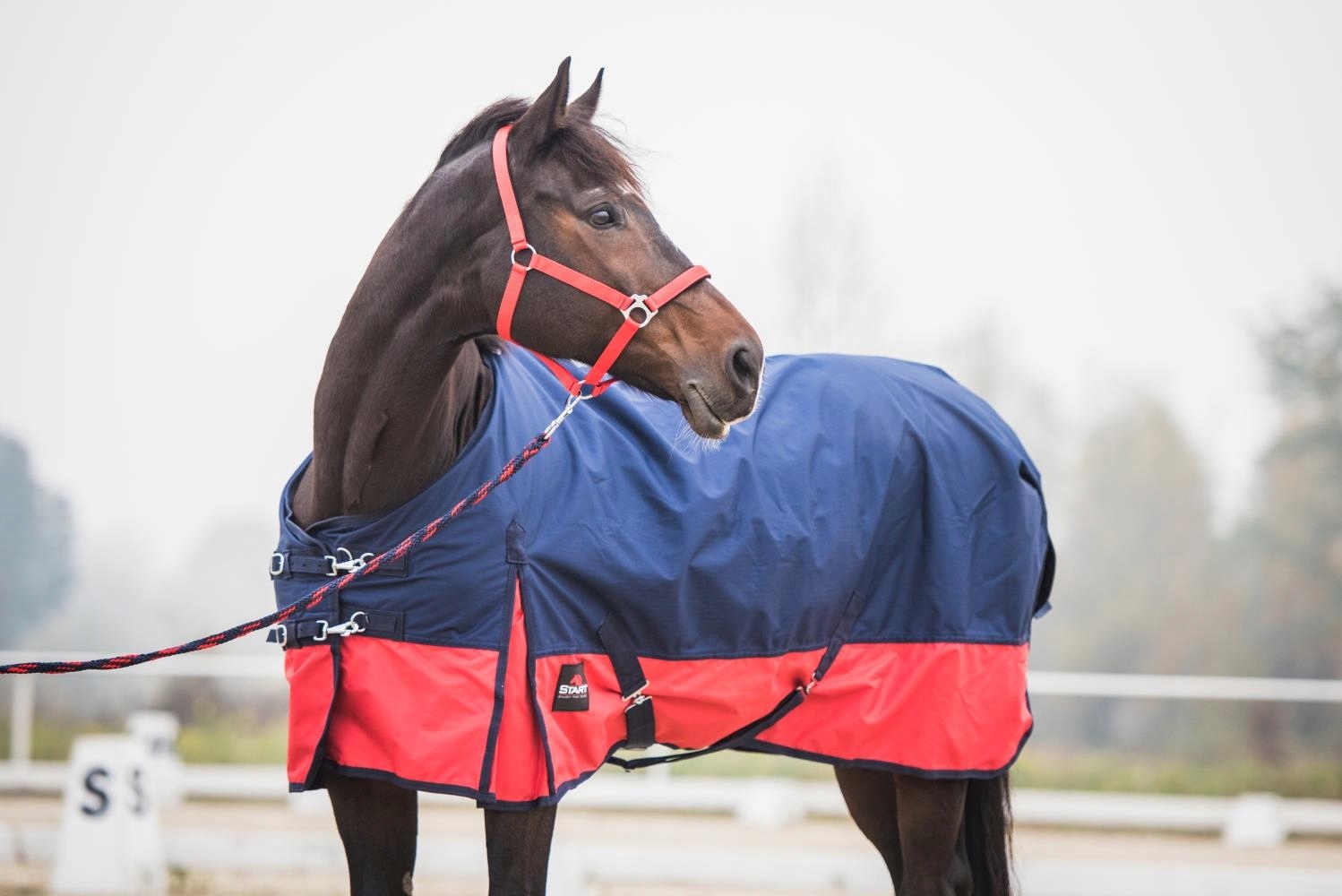 DERKA PADOKOWA PRZECIWDESZCZOWA Z POLAREM DLA KONI KONIA 145 Model DERKA PRZECIWDESZCZOWA PADOKOWA PODSZYTA POLAREM