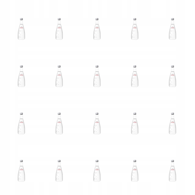 Evian minerální voda, sklo 330 ml X20