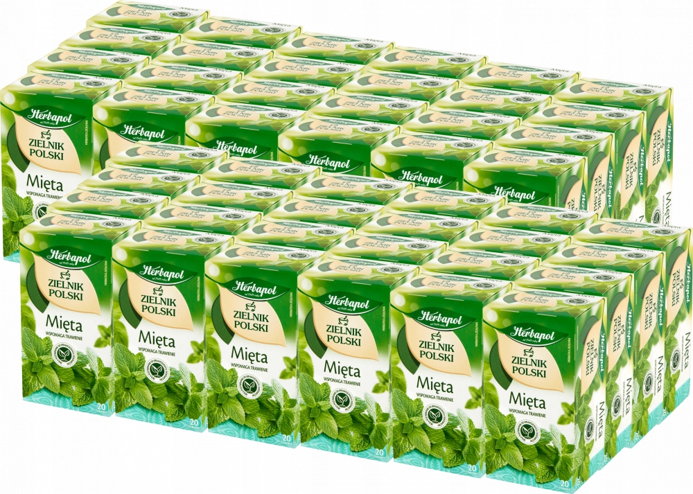 Herbata Herbapol Zielnik Polski mięta 80szt x60