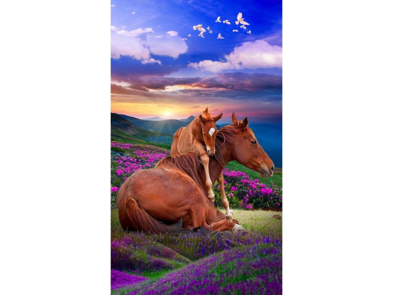 

Haft Diamentowy Obraz Mozaika Dwa Konie Góry 30x40