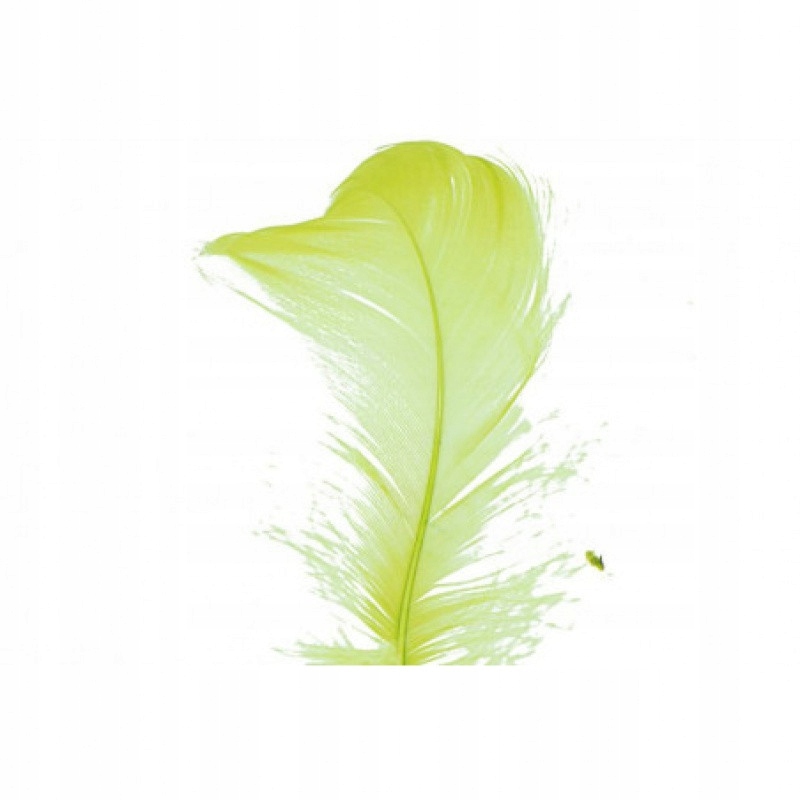 ARTYKUŁY PLASTYCZNE PIÓRKA SELEDYNOWE DEKORACYJNE Marka Artyk