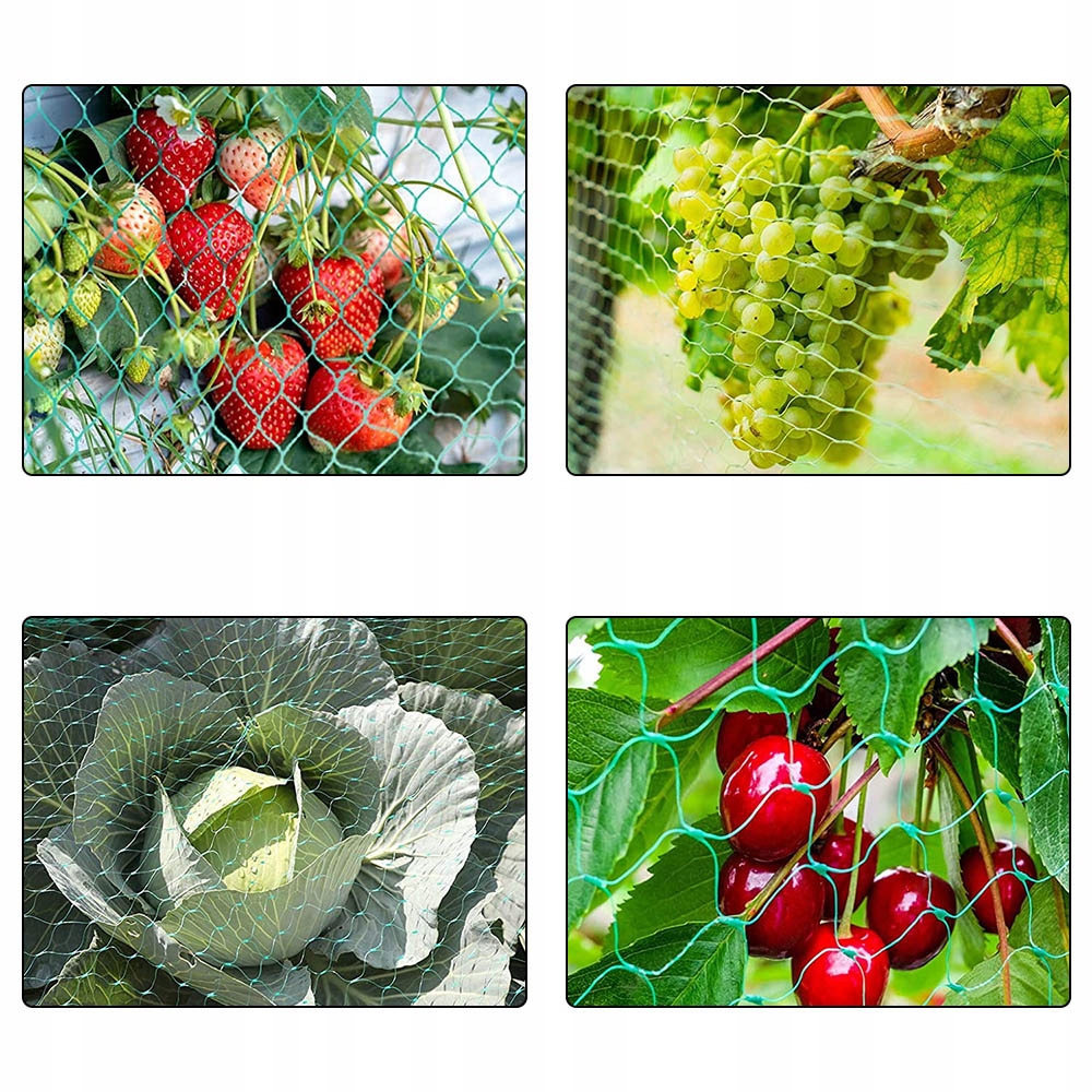 SIATKA OCHRONNA NA DRZEWA KRZEWY ODSTRASZA PTAKI PRZECIWKO PTAKOM 4 x 6 M Marka Raltek