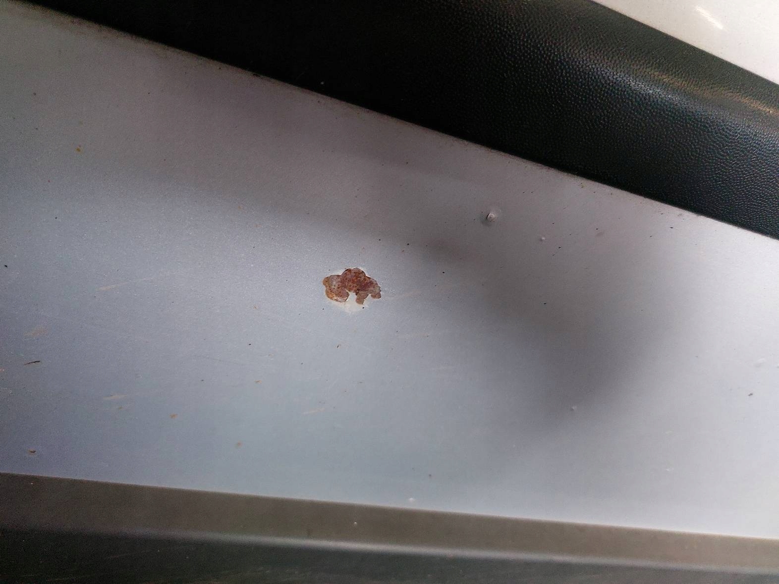 DRZWI KOMPLETNE LEWY PRZÓD VW PASSAT B5 LB7Z Producent części Volkswagen