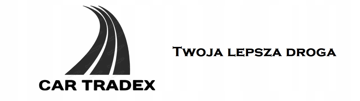 Lampa robocza LED BAR AWL29 65 cm. 12V 24V AMIO-02543 Temperatura barwowa 6000 K