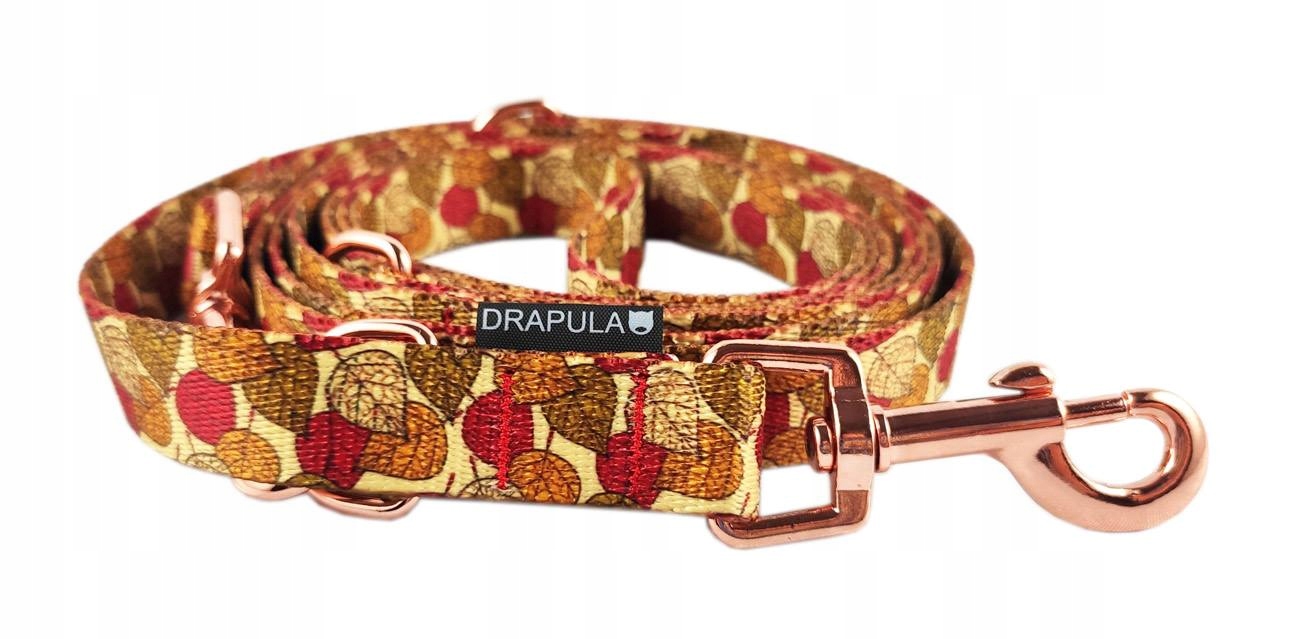 

Smycz S/m drapula przepinana 230cm Gold 2cm