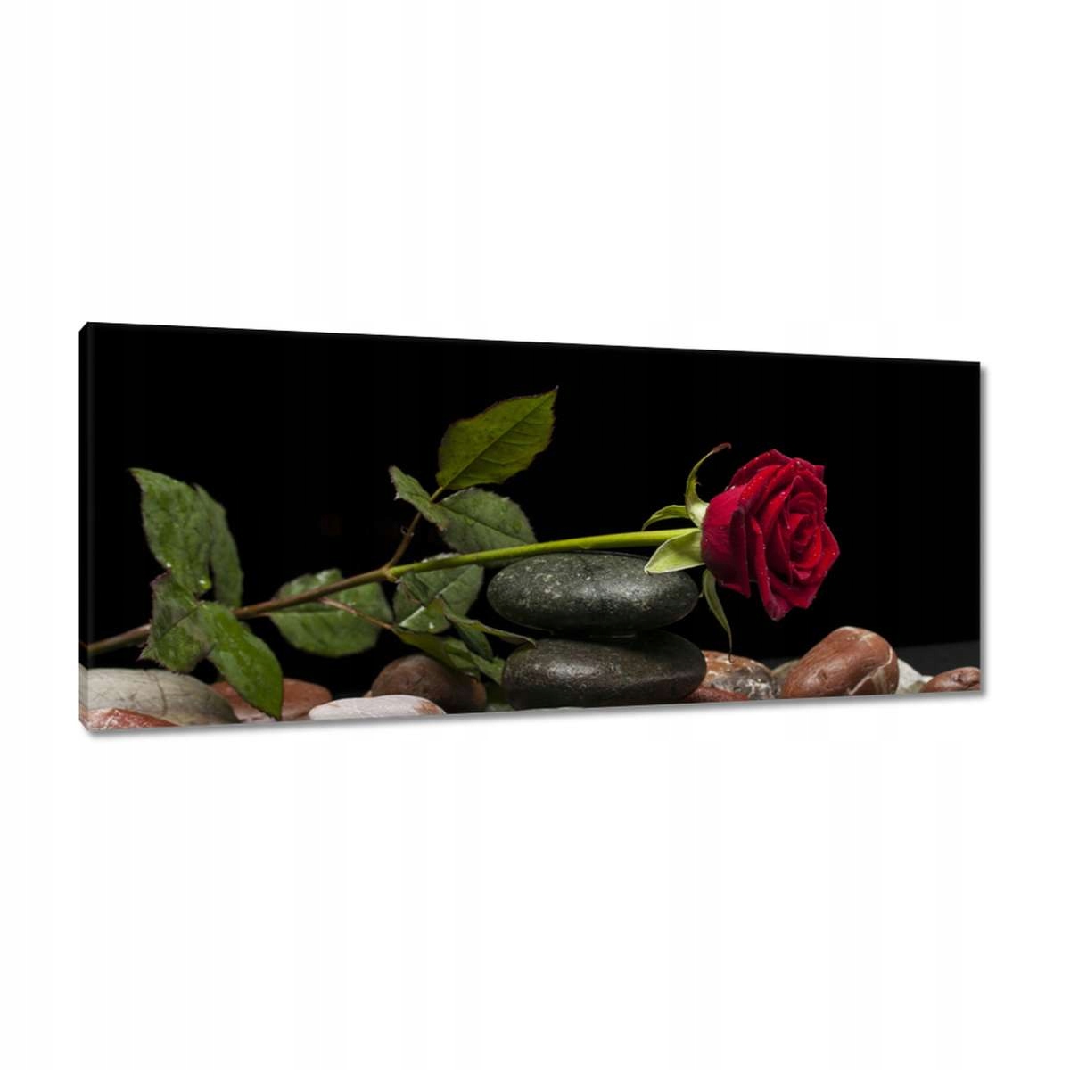 Obrazy 100x40 Spa Wellness Relax Voda