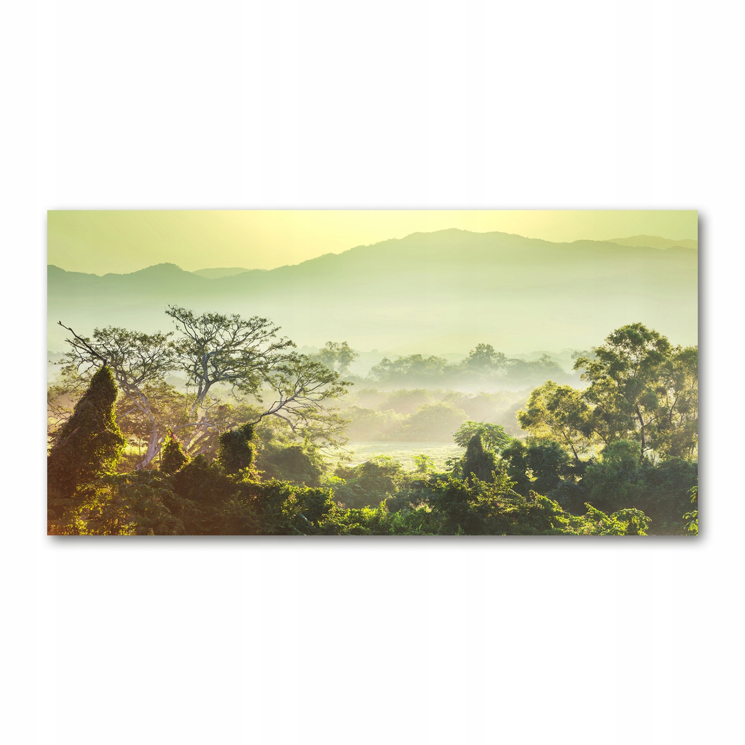 

Foto obraz na szkle akrylowym Dżungla 120X60 cm