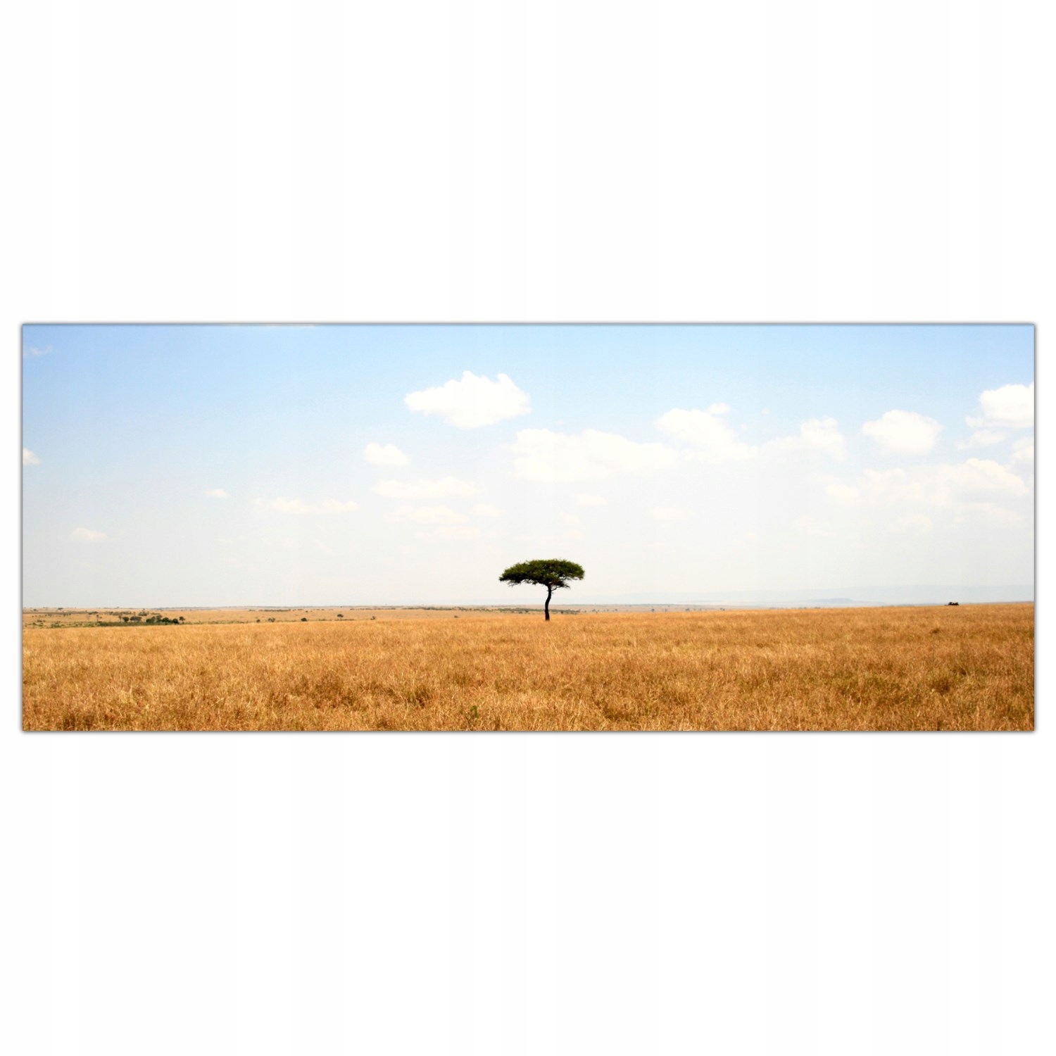 

Obraz na szkle Foto Afryka Drzewo Sawanna 125x50
