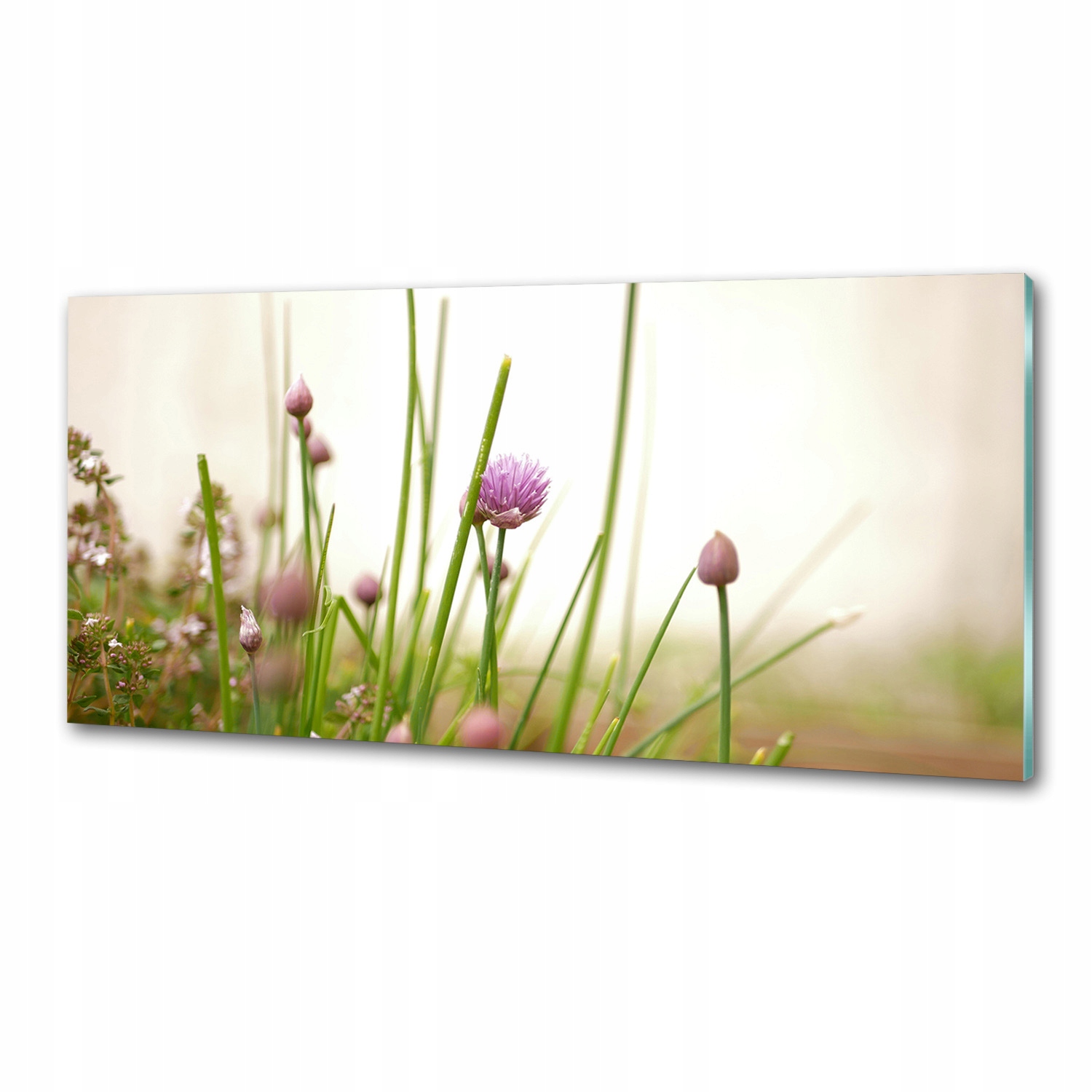 Dekoračný panel sklo Pažítka 125 x 50 cm Lepidlo