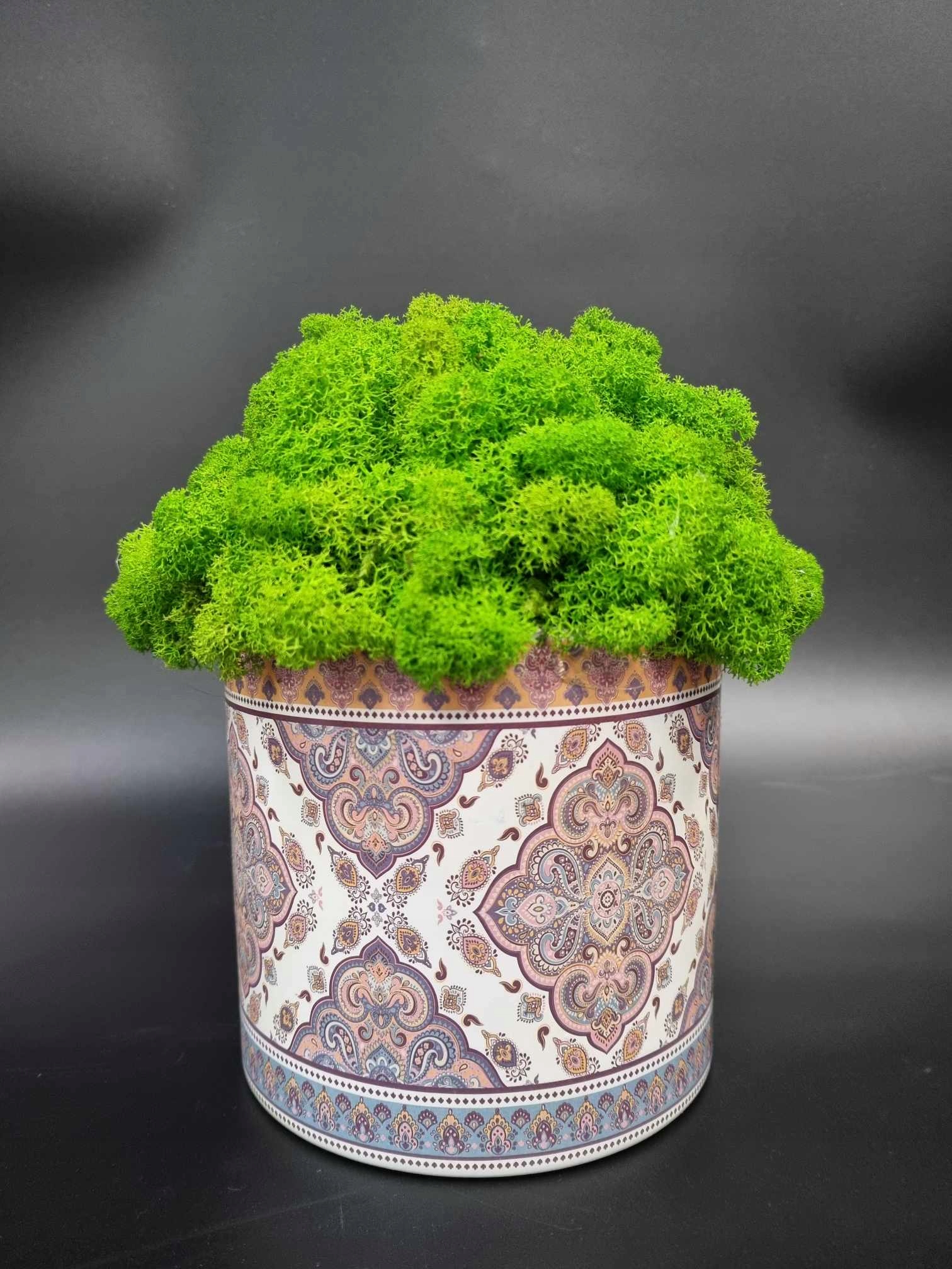 MECH CHROBOTEK W DONICZCE Marka bez marki