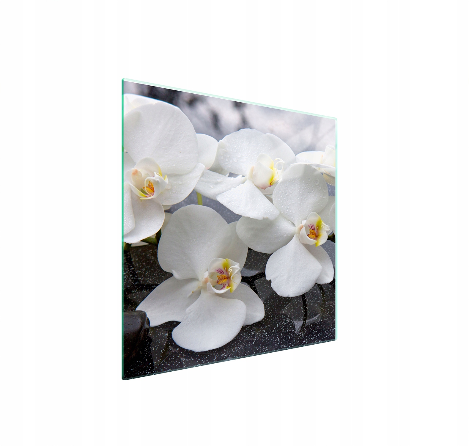 Skleněná Ochranná Deska Na Sporák 50x52 Orchidej Tvrzené Sklo