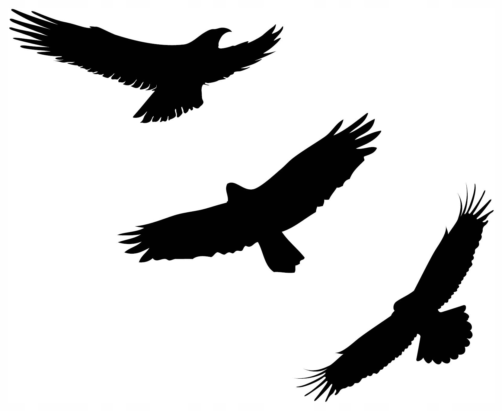 

Naklejki na szybę odstraszające ptaki 24cm 3szt