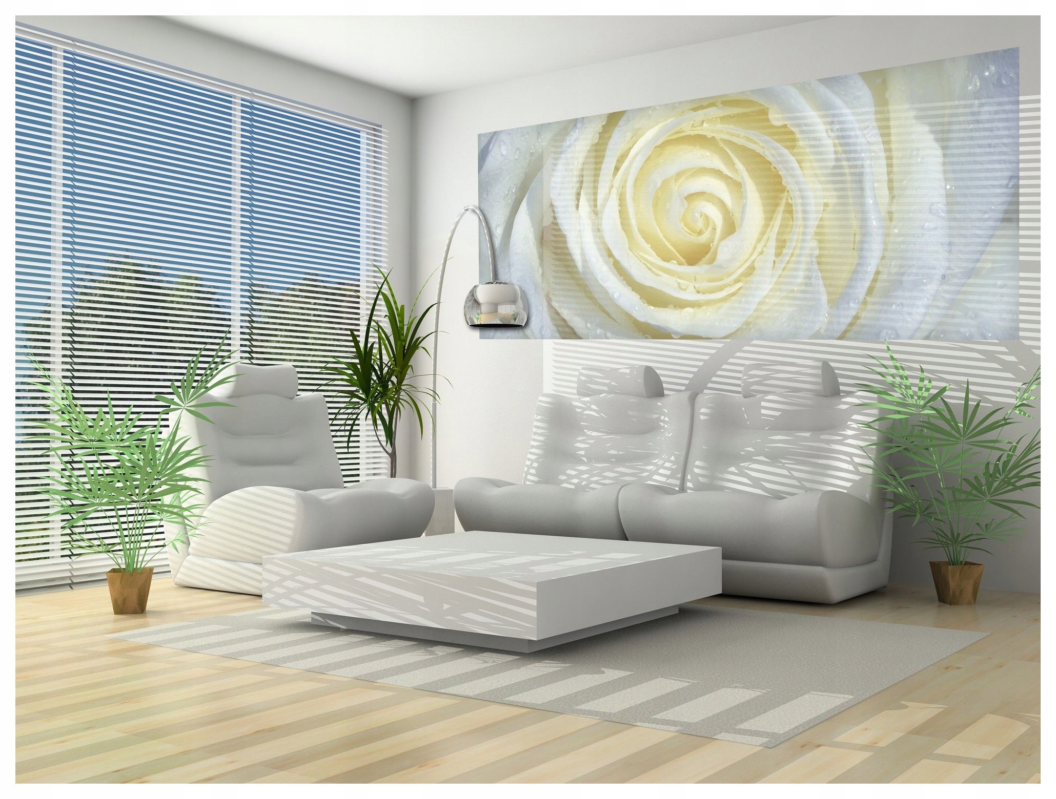 Fototapeta Bílé růže v rose elegance a svěžest rána 250x104 lepidlo