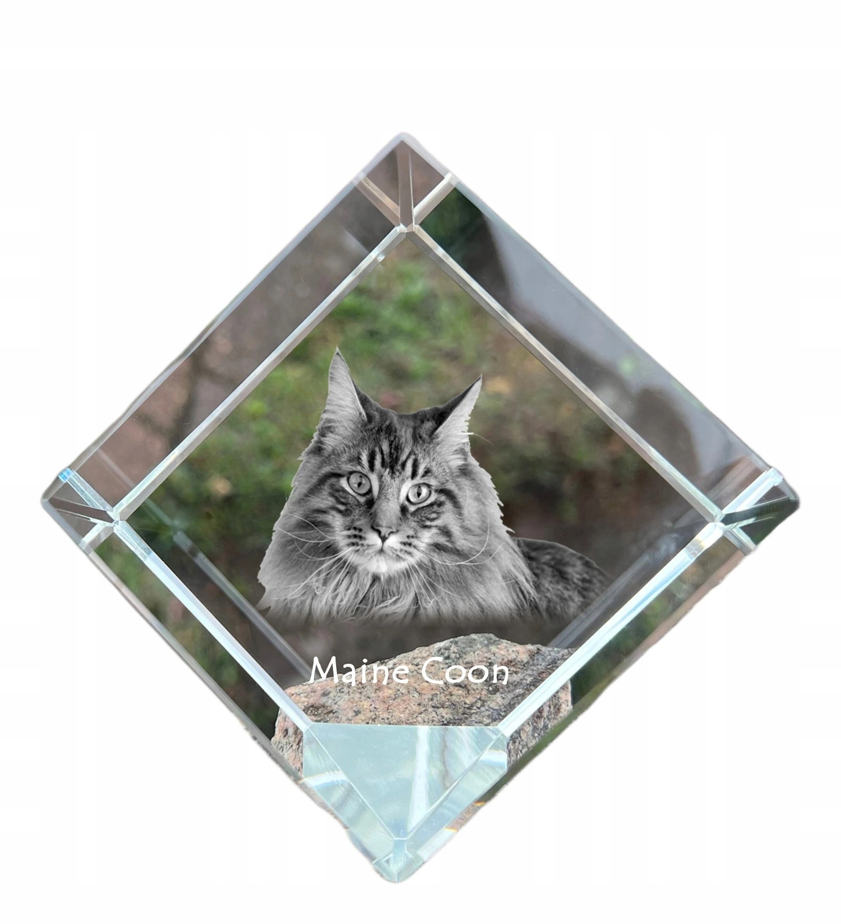 Maine Coon krištáľová kocka s fotografiou mačky, ozdoba do pracovne