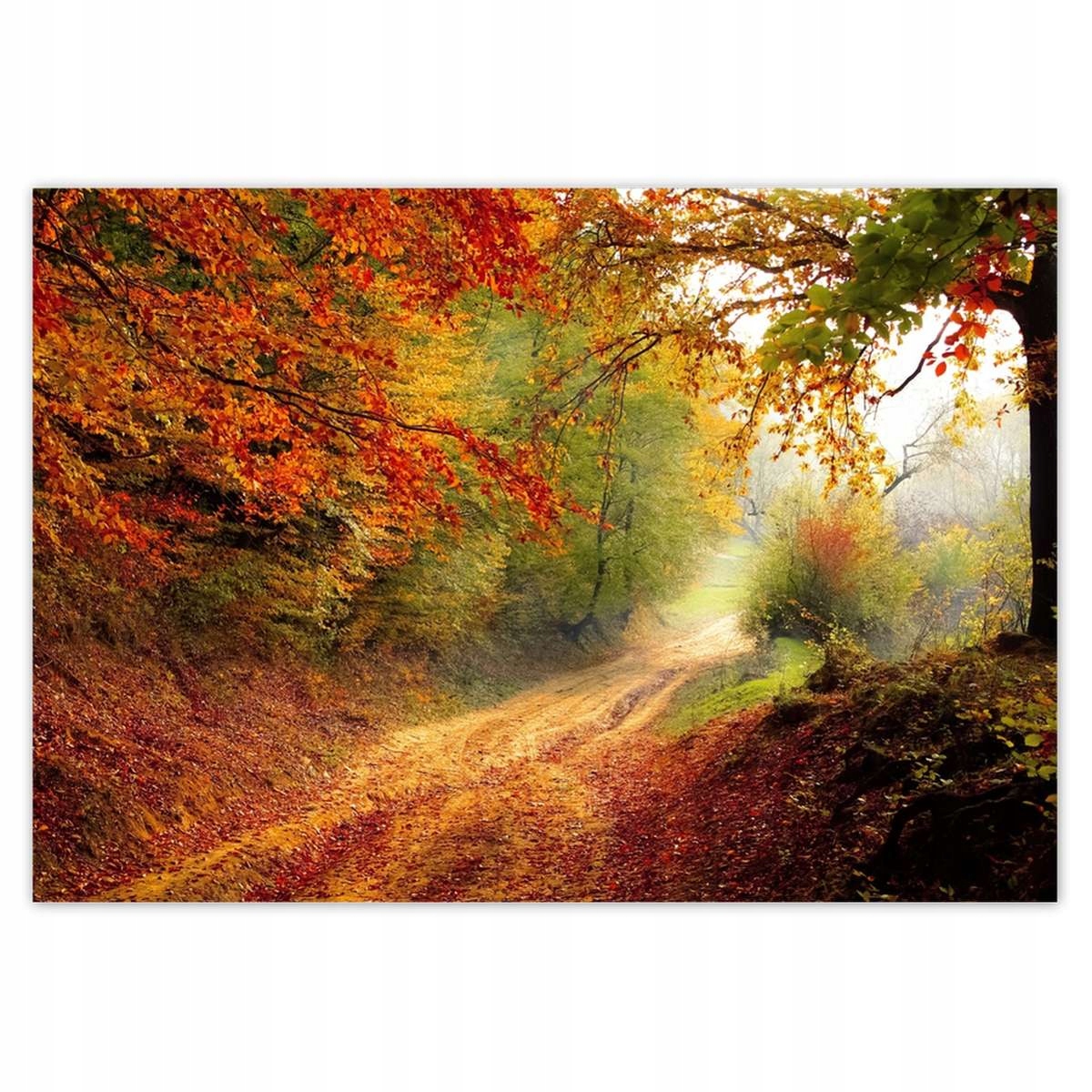 Fototapety 416x290 Cesta v lese jeseň