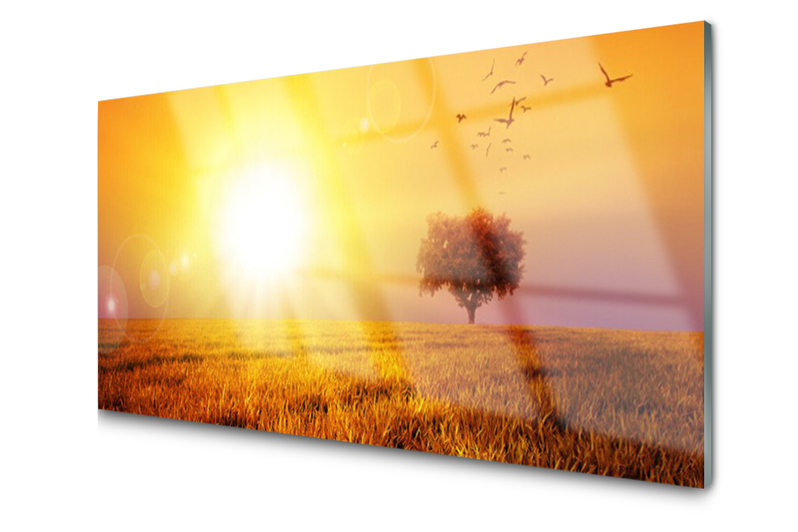 

Panel szklany Płytka Zachód Łąka Ptaki 140x70