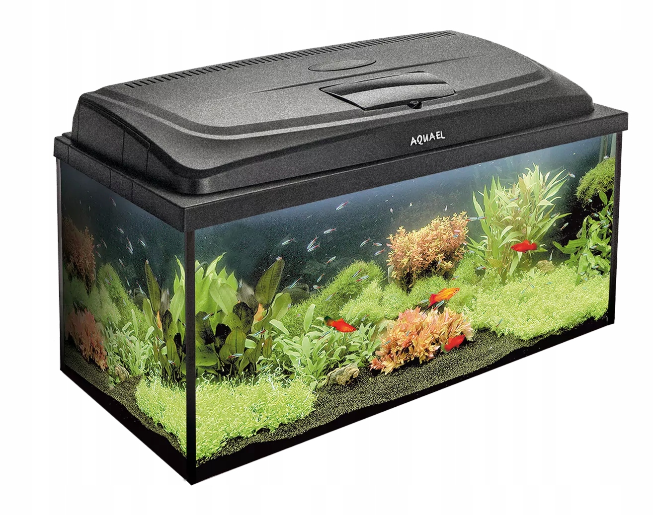 Levně Aquael Aqua4Family 80/P akvarijní sada D&n