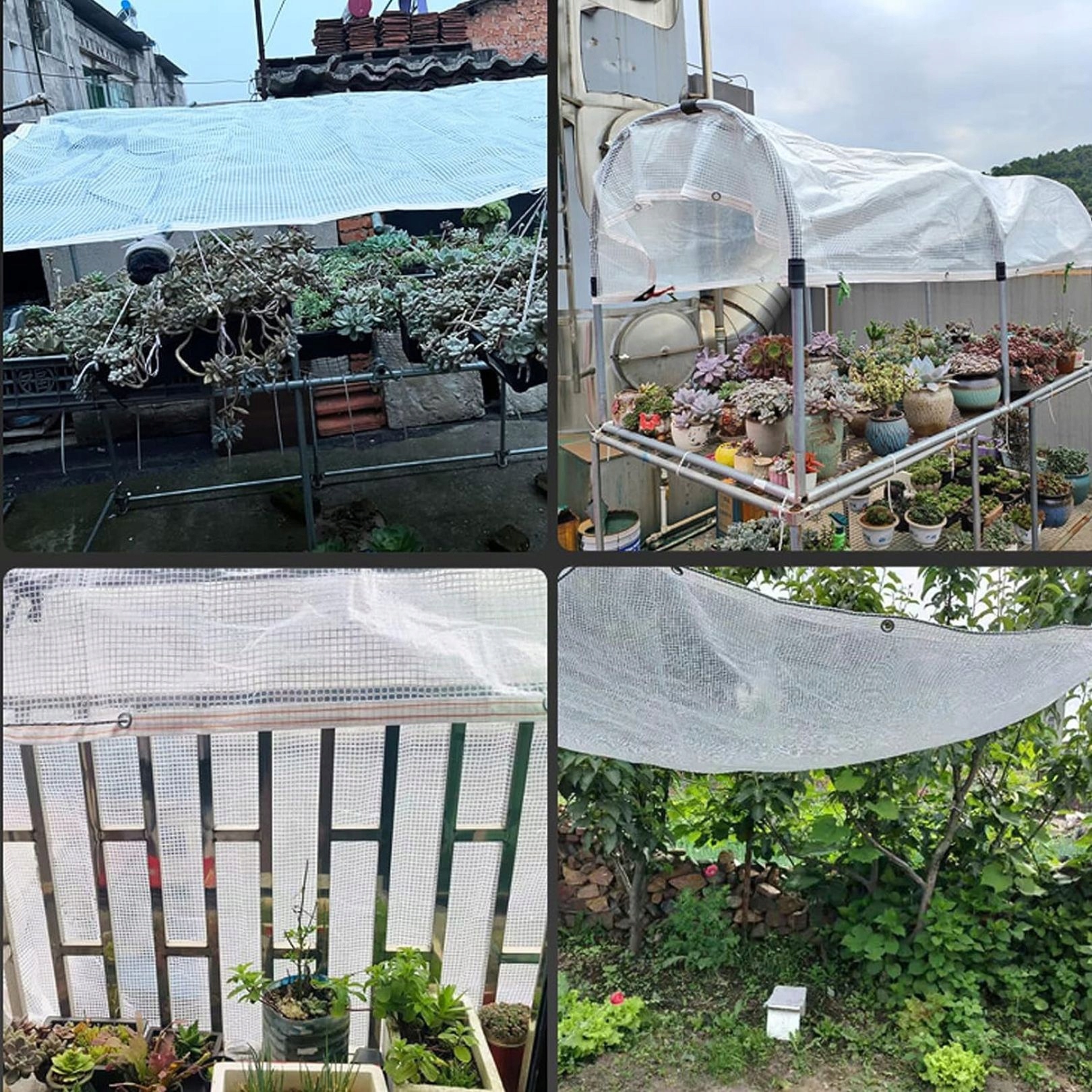 PLANDEKA BIAŁA 4x8M 100g PRZEŹROCZYSTA ZBROJONA UV Długość 8 m