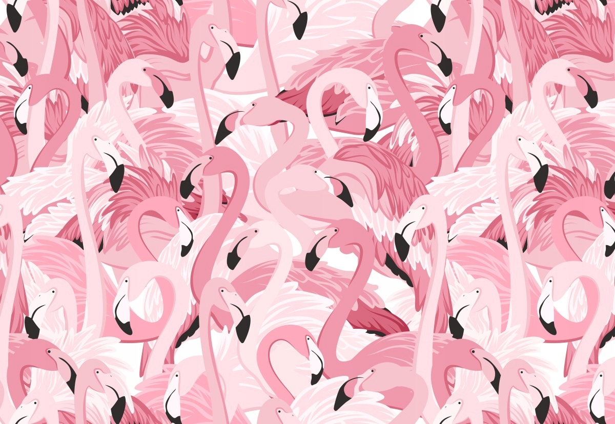 

Fototapeta Flizelinowa Różowe flamingi 152x104