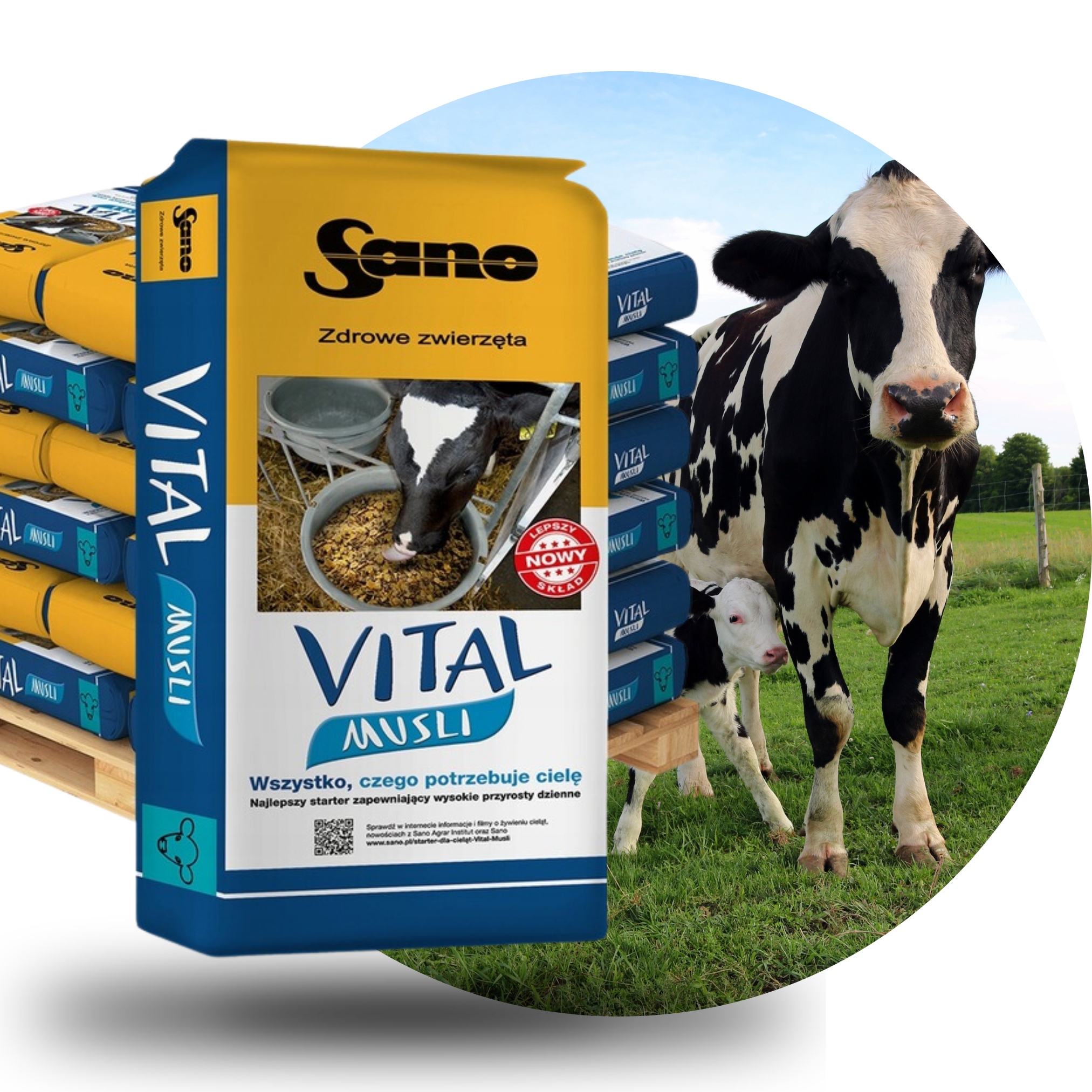 Karma Pasza dla cieląt cielaków Mieszanka Uzupełniająca Vital Musli 20 kg