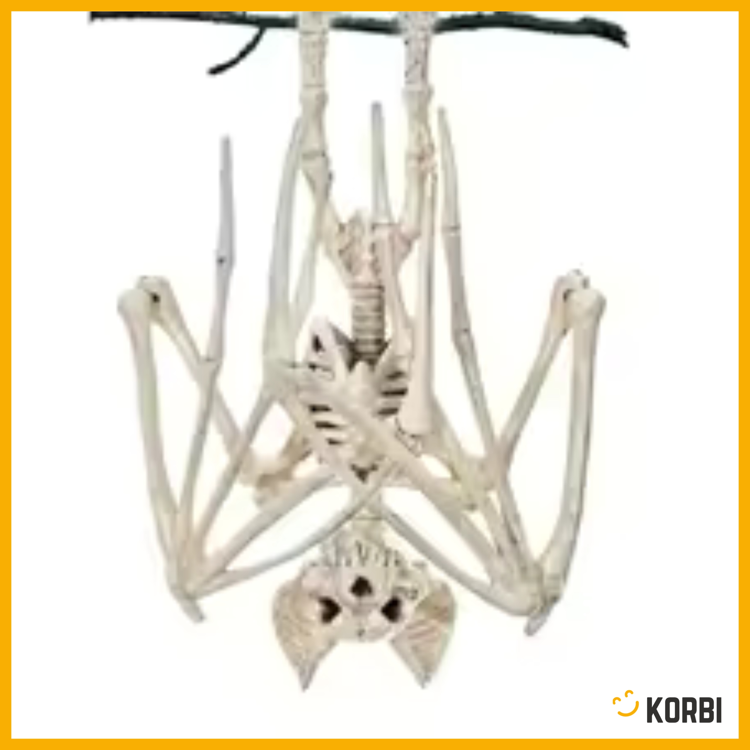 SZKIELET NIETOPERZA NIETOPERZ KOŚCI DEKORACJA WISZĄCA OZDOBA HALLOWEEN Kod producenta SZKIELET NIETOPERZA KORBI