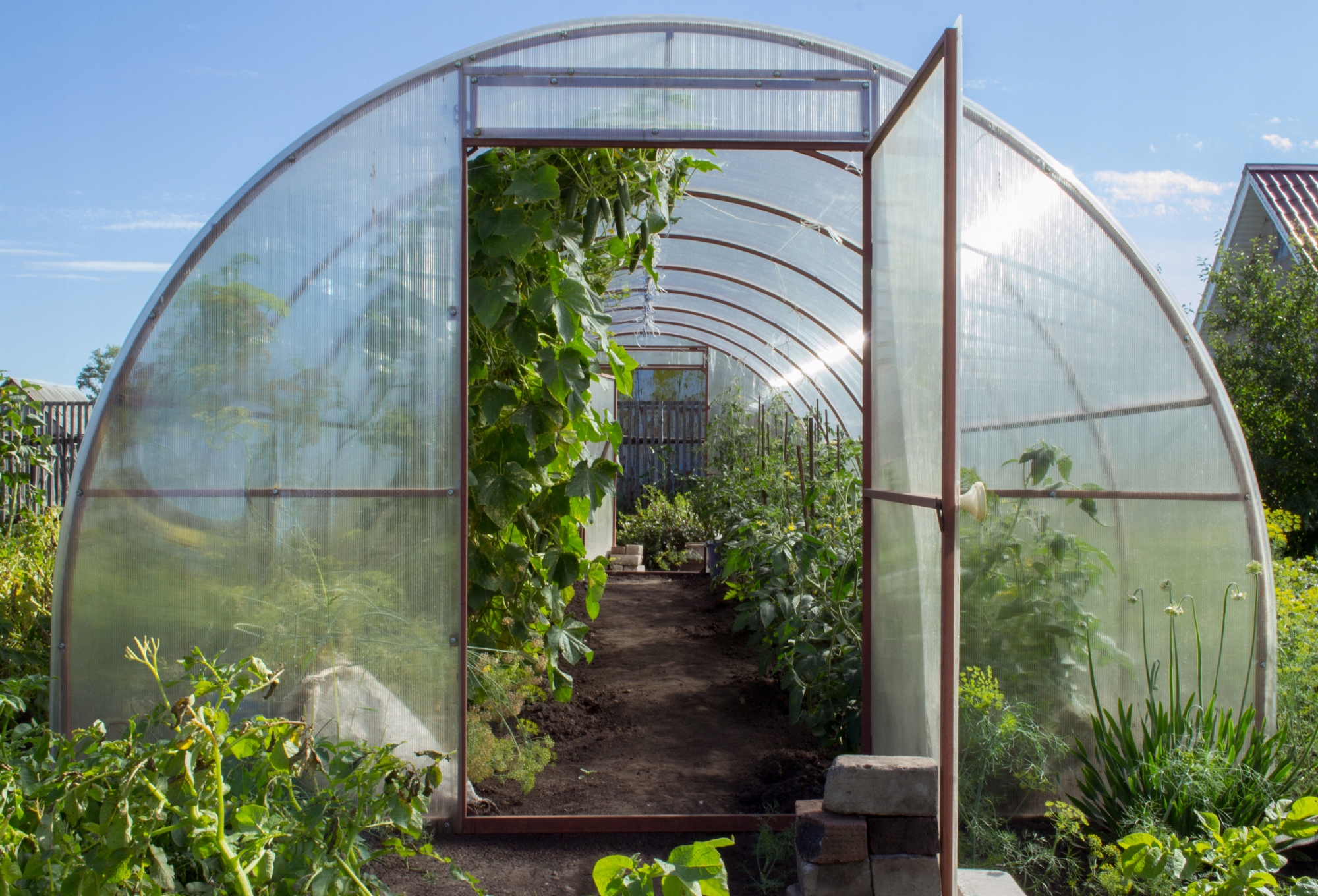 FOLIA OGRODOWA UV TUNELOWA OGRODNICZA MOCNA 6x1m Długość 100 cm