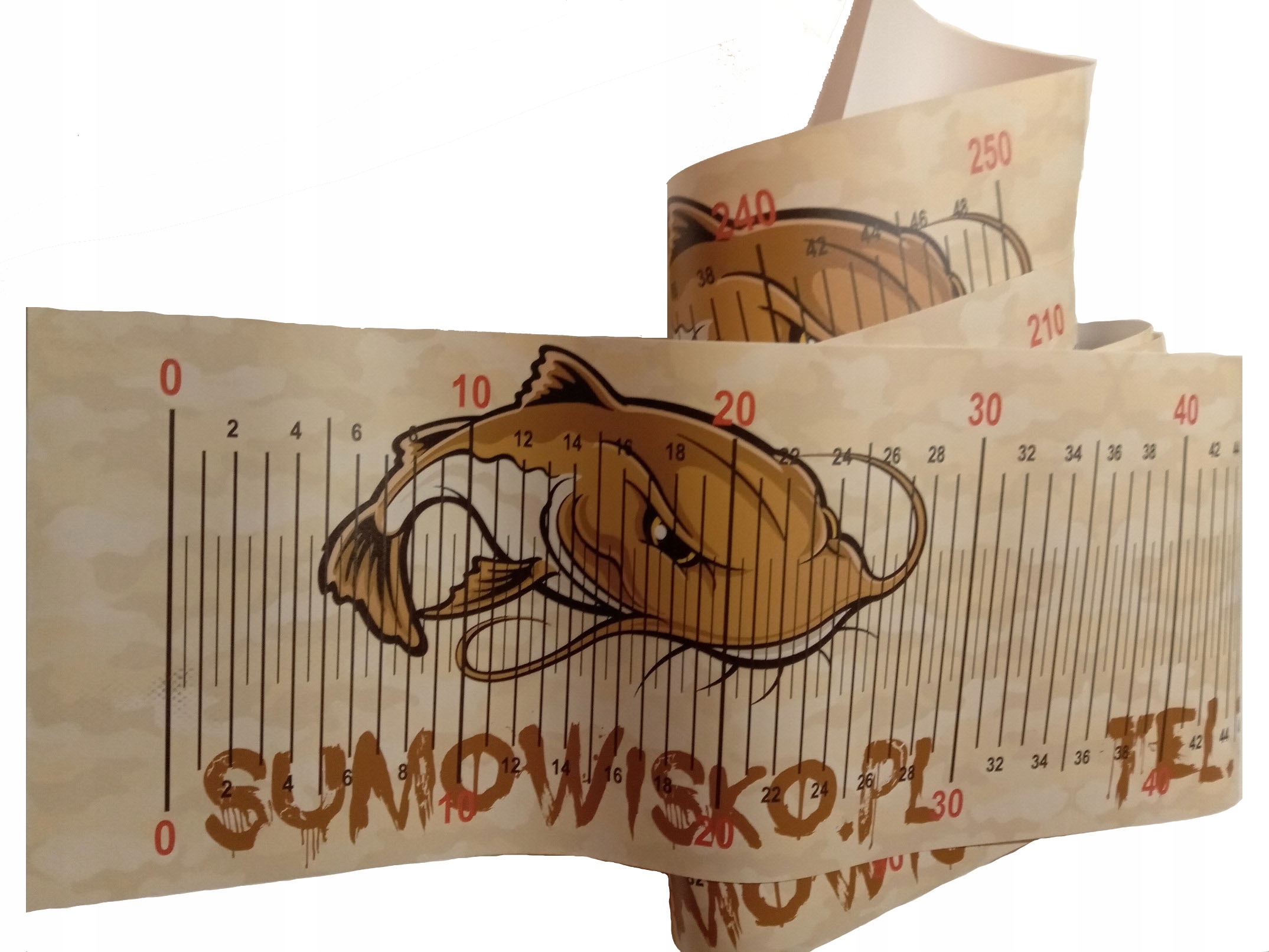 

Szeroka Zwijana Miara Wędkarska 250/20CM Na Sumy