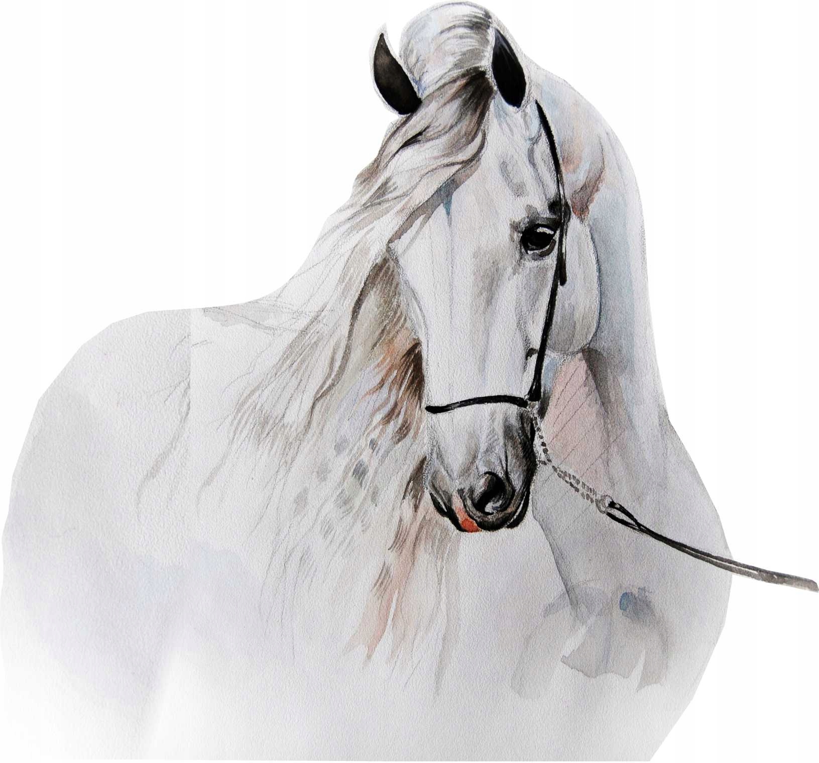 

Pastelowy Koń Naklejka Na Ścianę Dla Dziewczynki