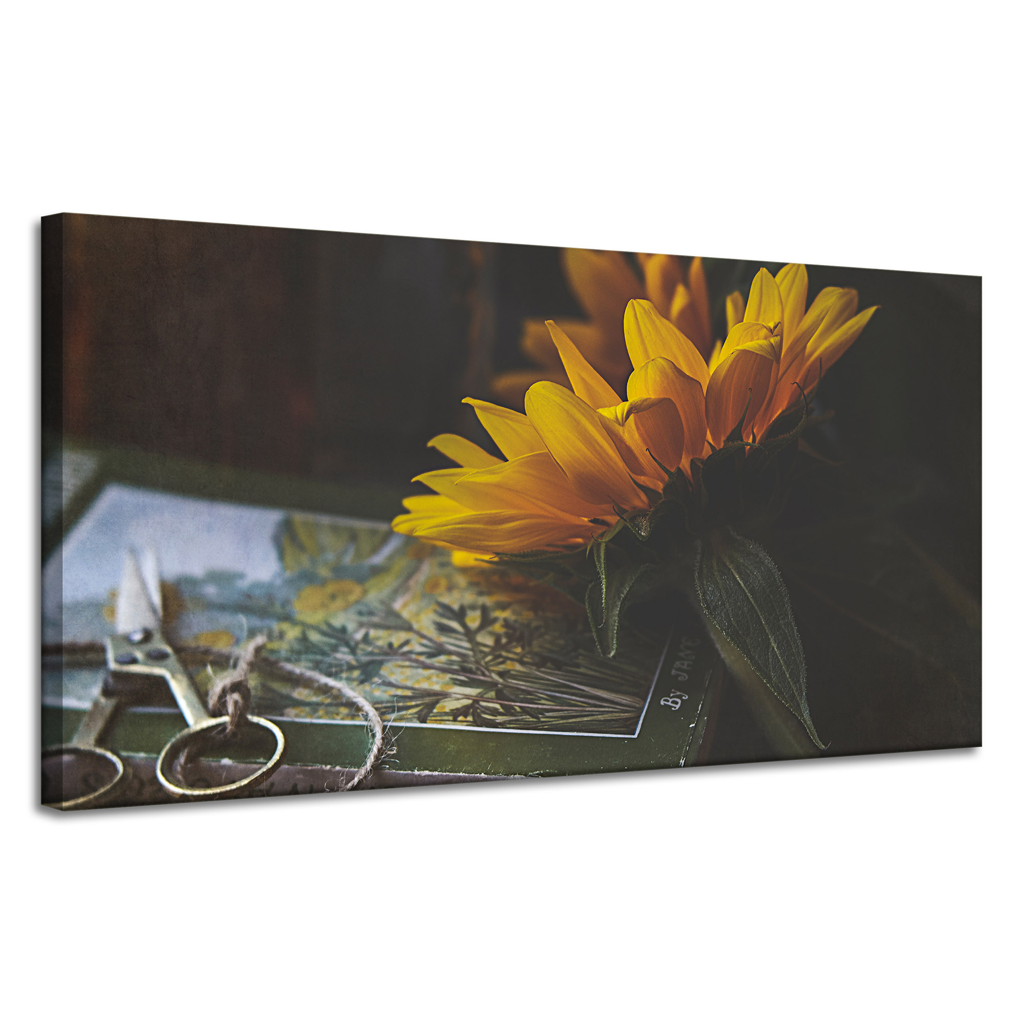 Obraz na plátně Příroda Slunečnice kniha 120x60