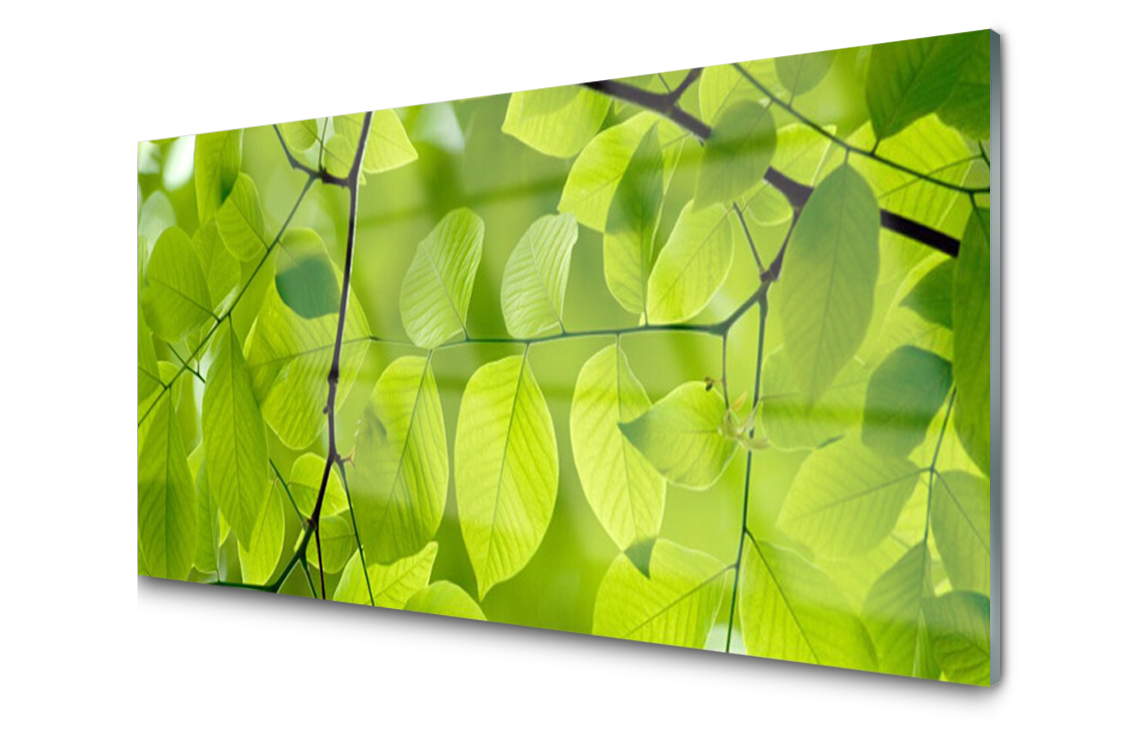 

Panel szklany dekor Liście Roślina 140x70 + Klej