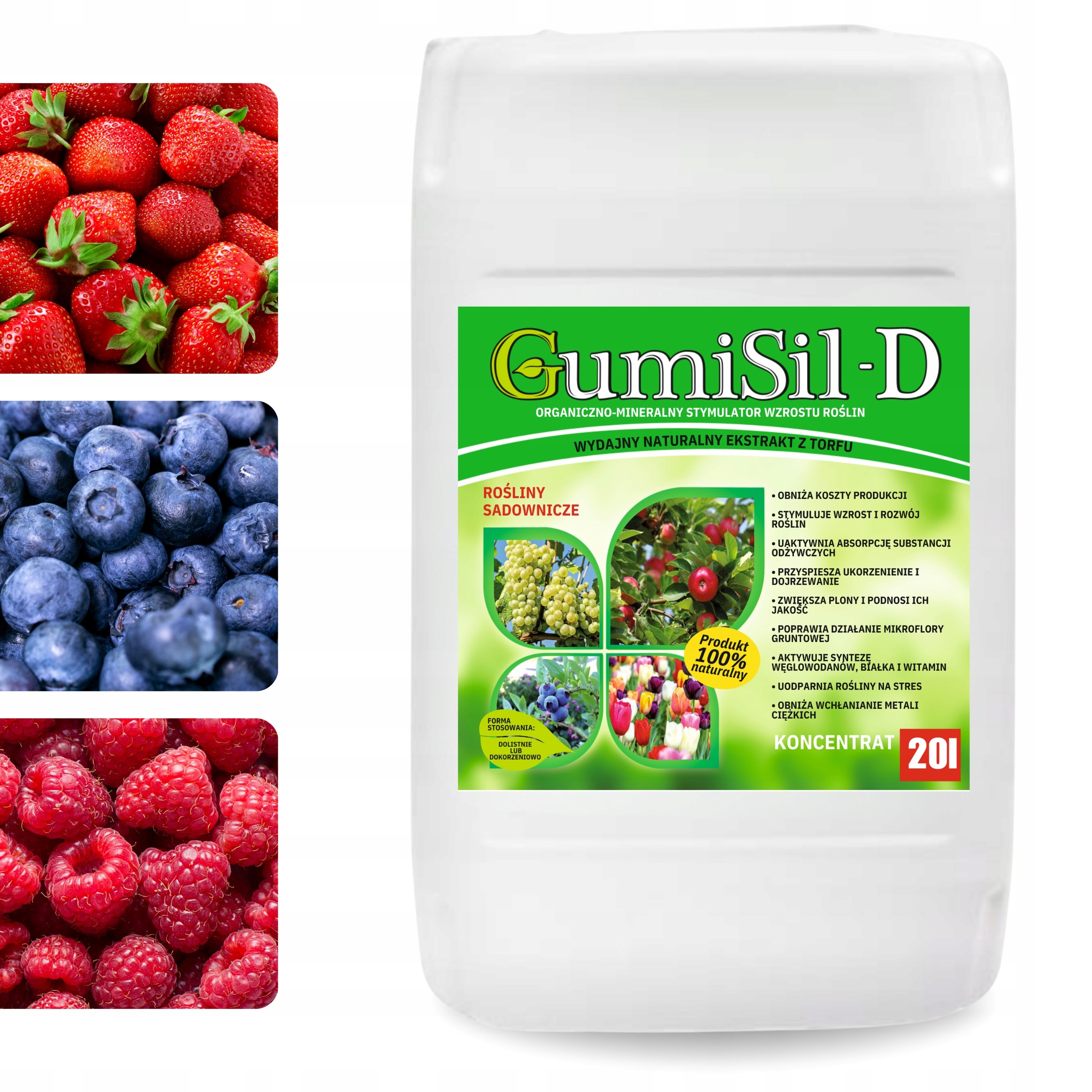 Biostimulátor pro ovoce a ovocné rostliny Hnojivo Gumisil-d 20L