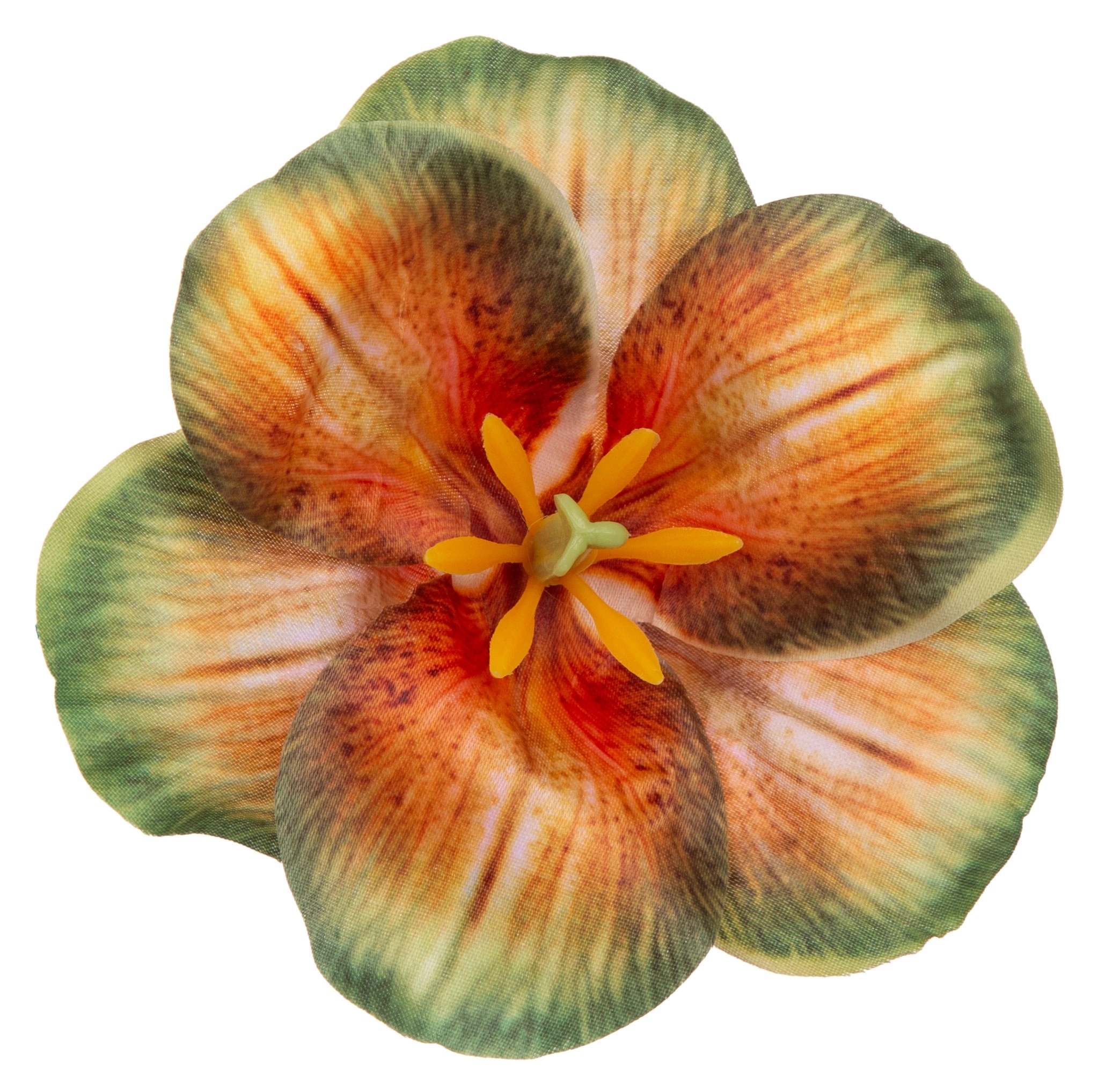 12X MAGNOLIA YELLOW GREEN GŁÓWKA WYROBOWA