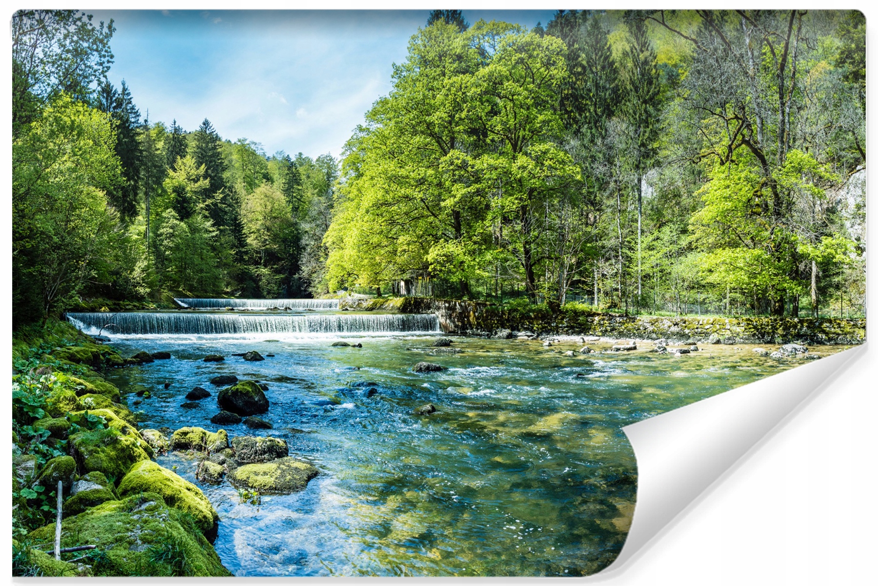 

Fototapeta Do Salonu Rzeka Las Natura 3D 135x90
