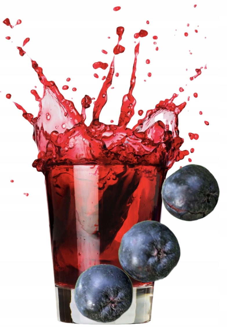 Šťáva z aronie 100% 5 l – lisovaná, přírodní, Nfc