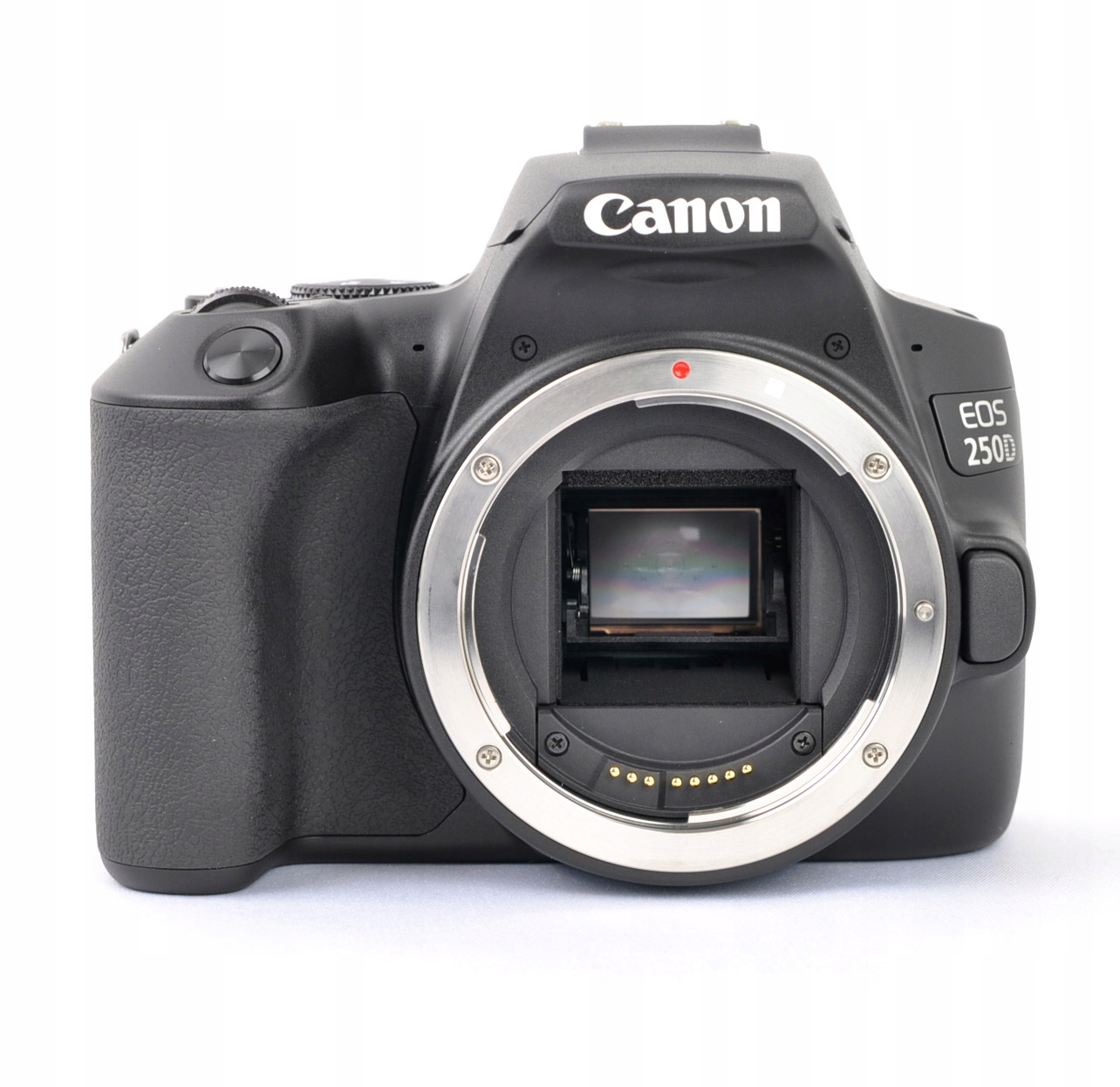 CANON EOS 250D BODY + тканина новий код виробника 250D