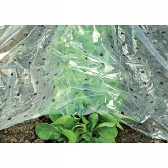 

Folia Ogrodowa Przeźroczysta Niemiecka 1,5x10m