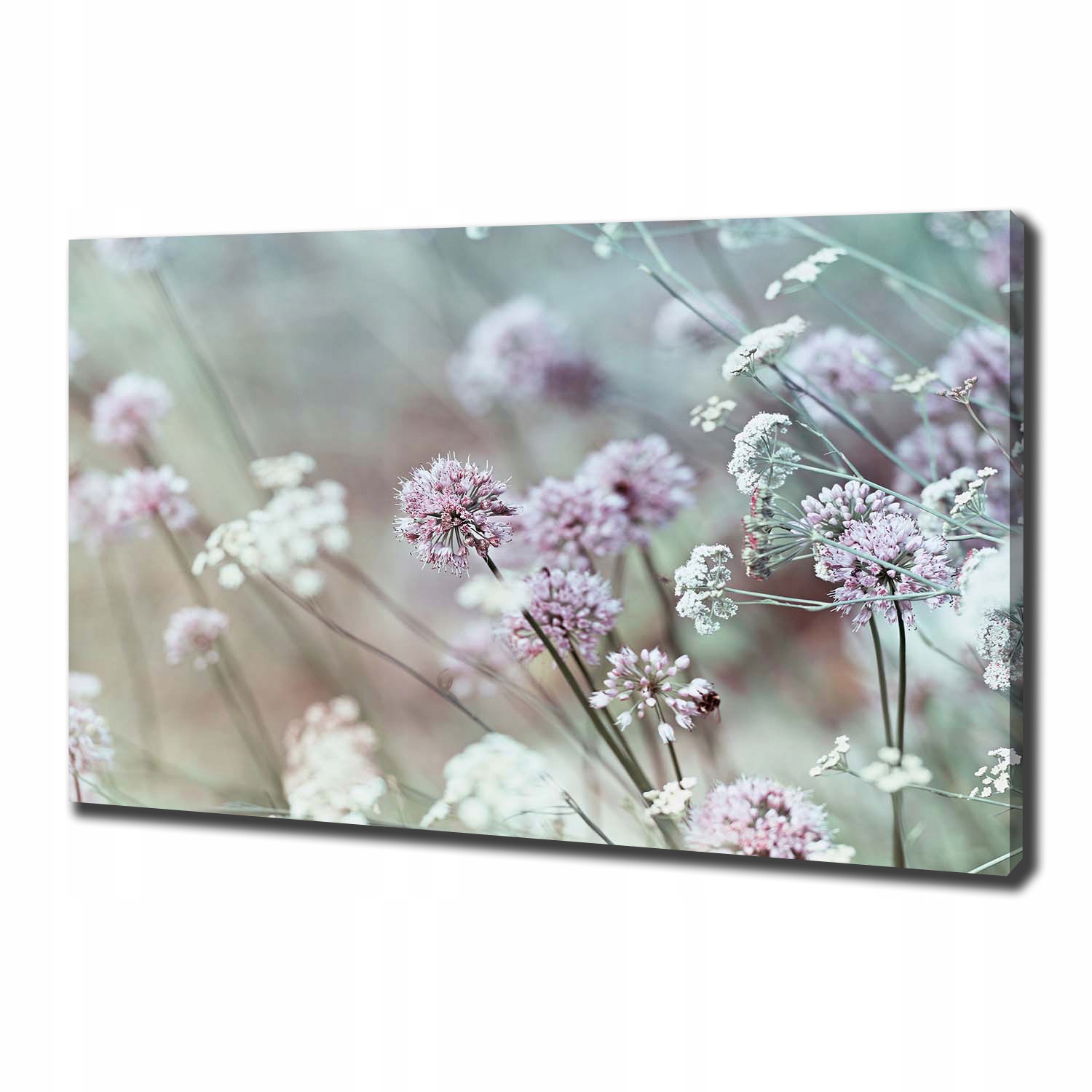 

Foto obraz na płótnie Dzikie kwiaty 100x70 cm