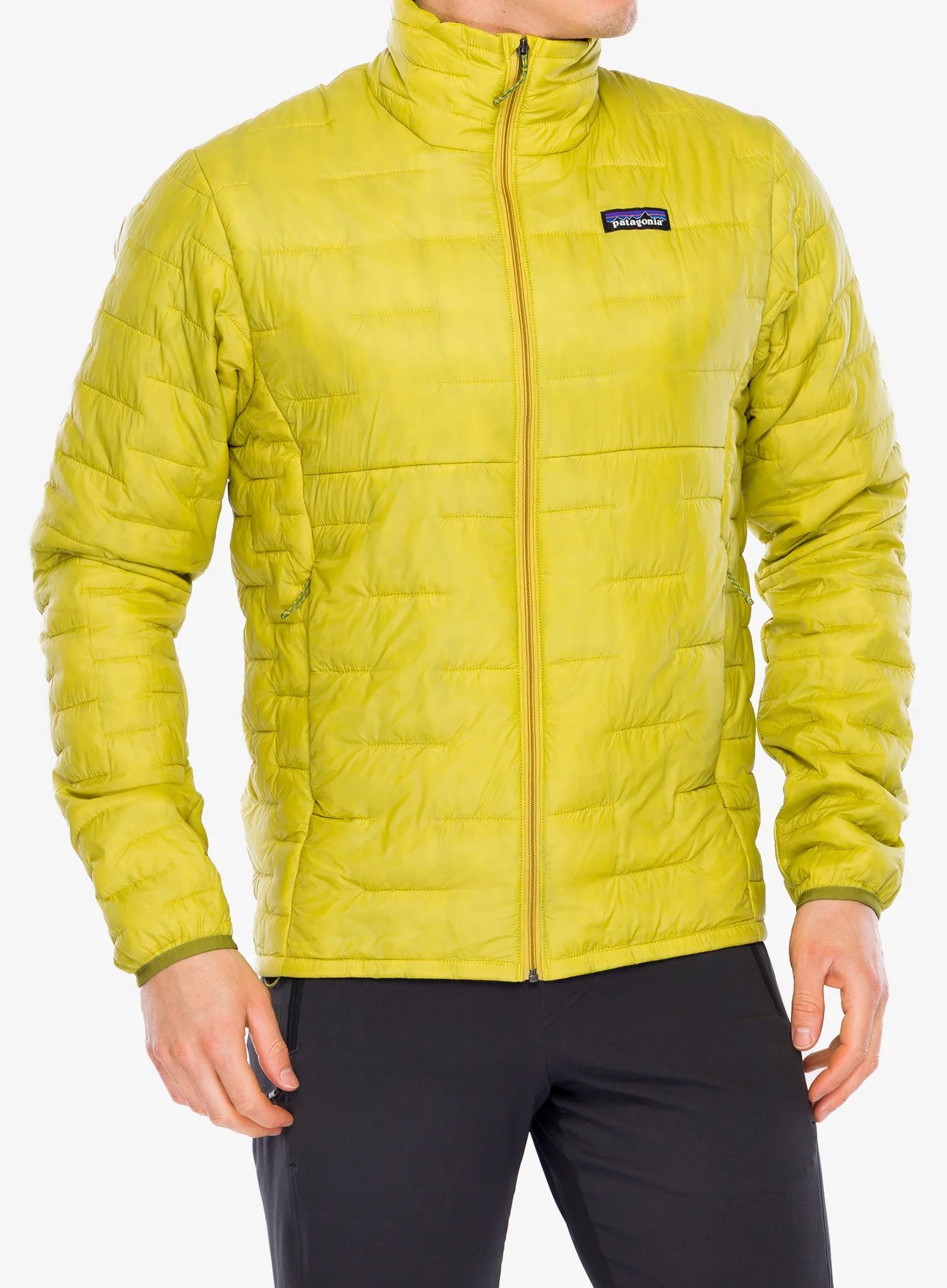 Zateplená bunda Patagonia Micro Puff Jacket zelená L