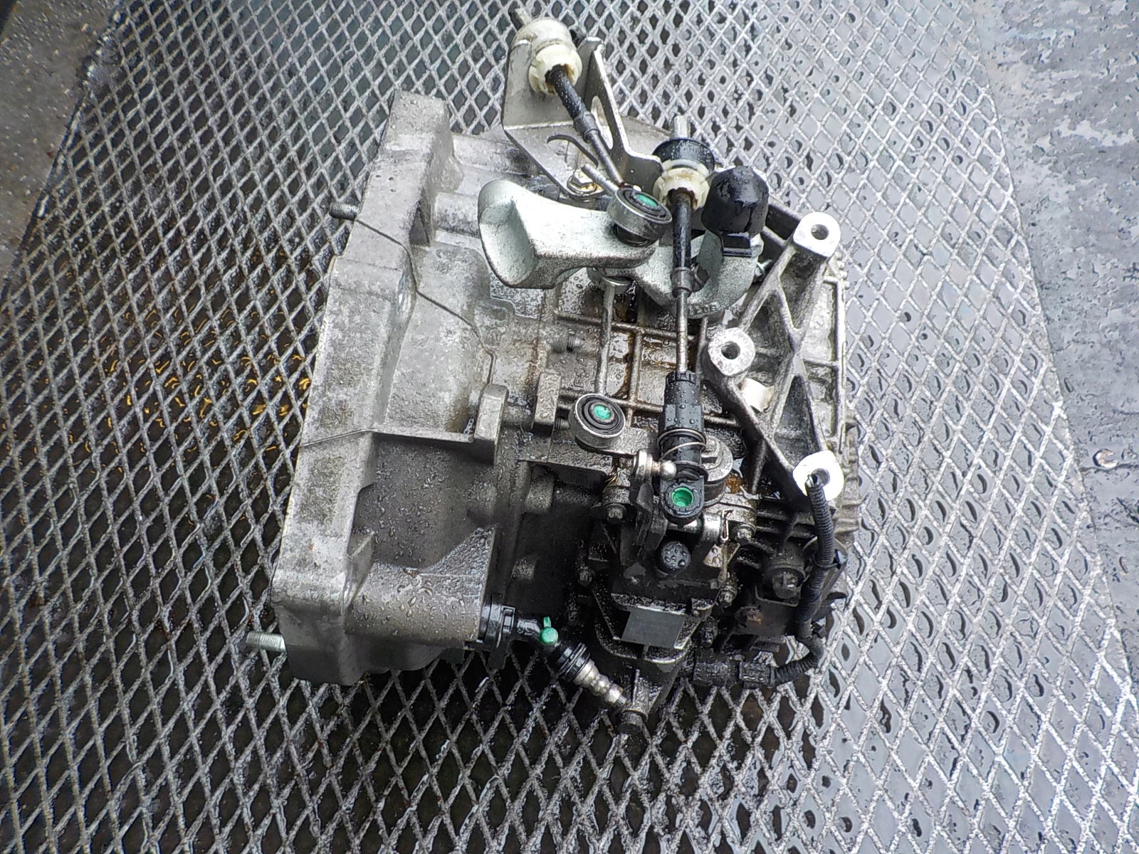 FIAT BRAVO II 1.6 JTDM Getriebe C63563513