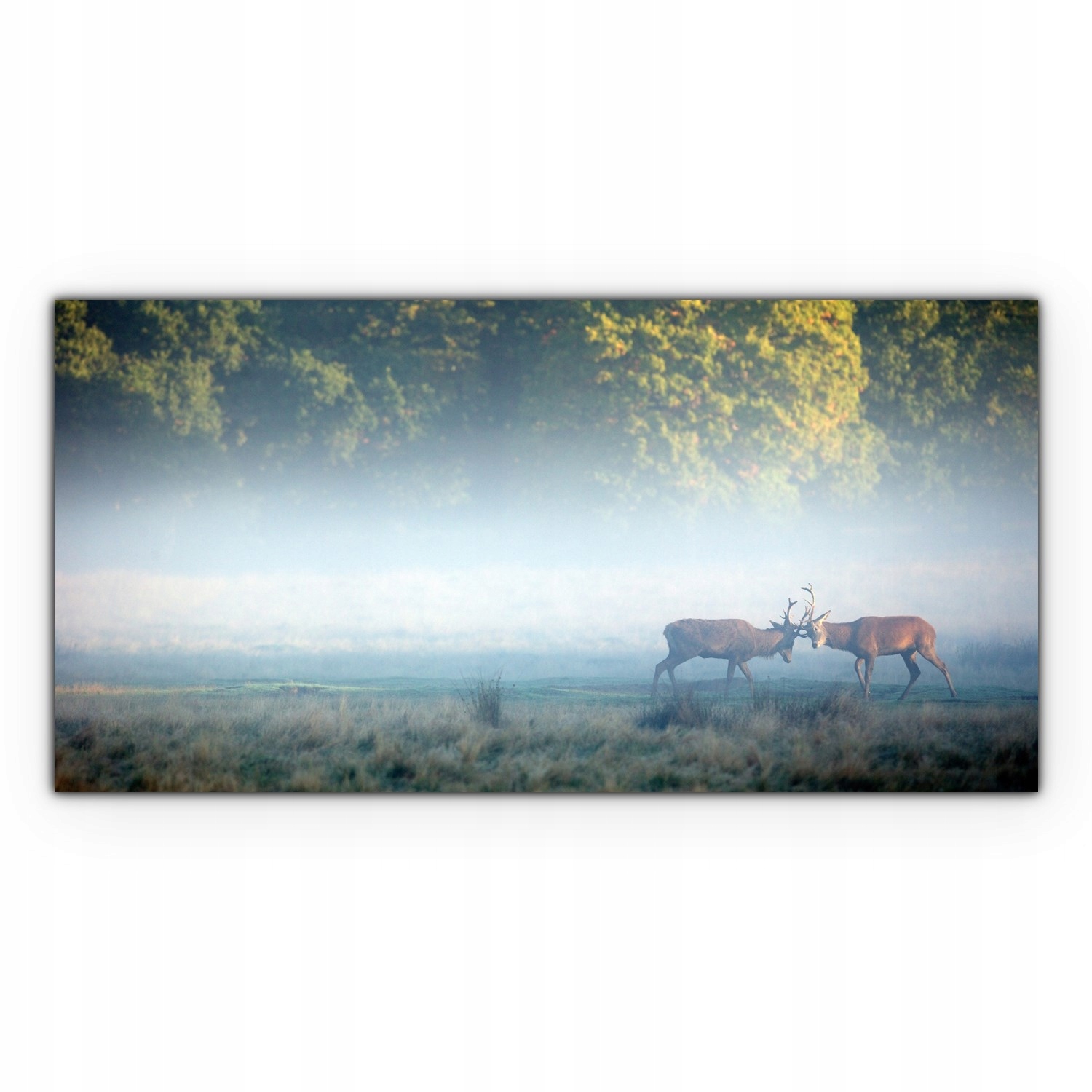 

Obraz płótno z foto 100x50 Jeleń Natura Zwierzęta