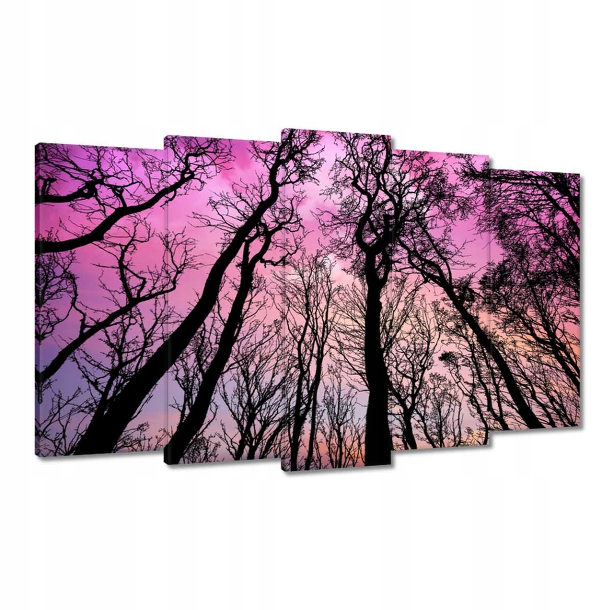 Obrazy 100x60 Les Stromy Pohled zdola