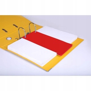 PRZEKŁADKI 1/3 A4 ESSELTE MAXI PAPIEROWE MIX KOL. Kod producenta 624450