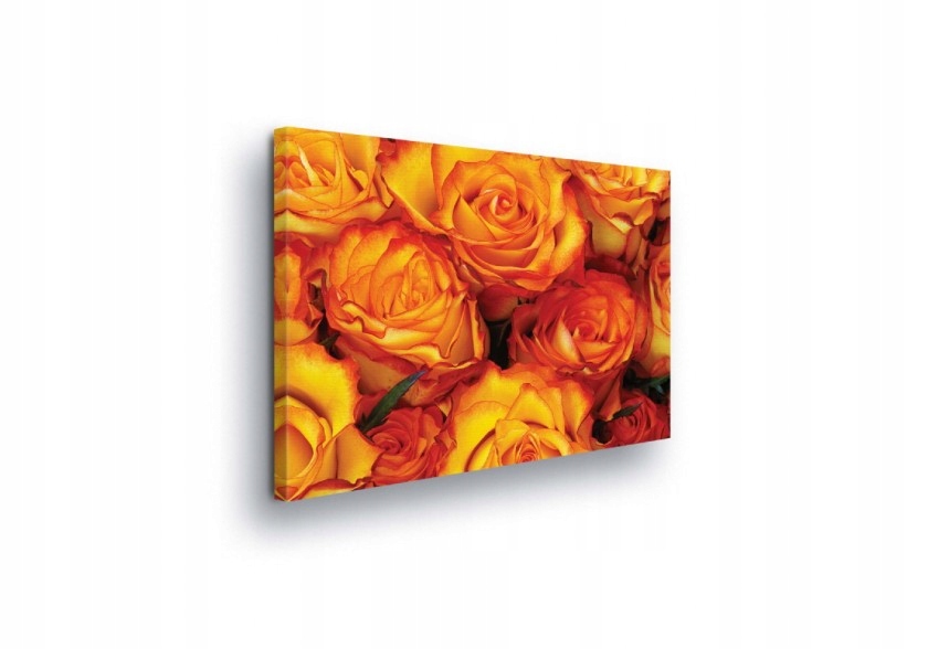 Obraz 100x75 Oranžové růže žluté květy léto slunce radost příroda