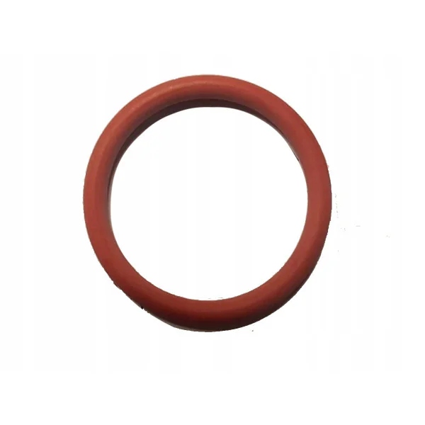 Saeco uszczelka zaparzacz 34x3