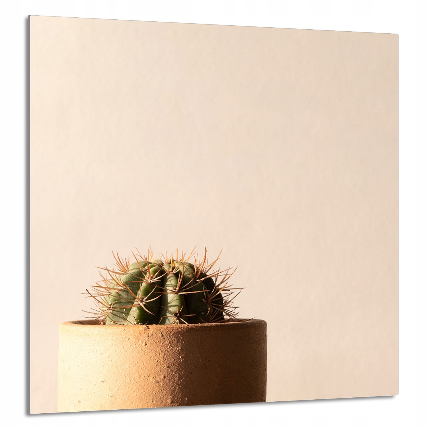 Skleněný Panel Do Kuchyně 60x65 Kaktus Tvrzené Sklo